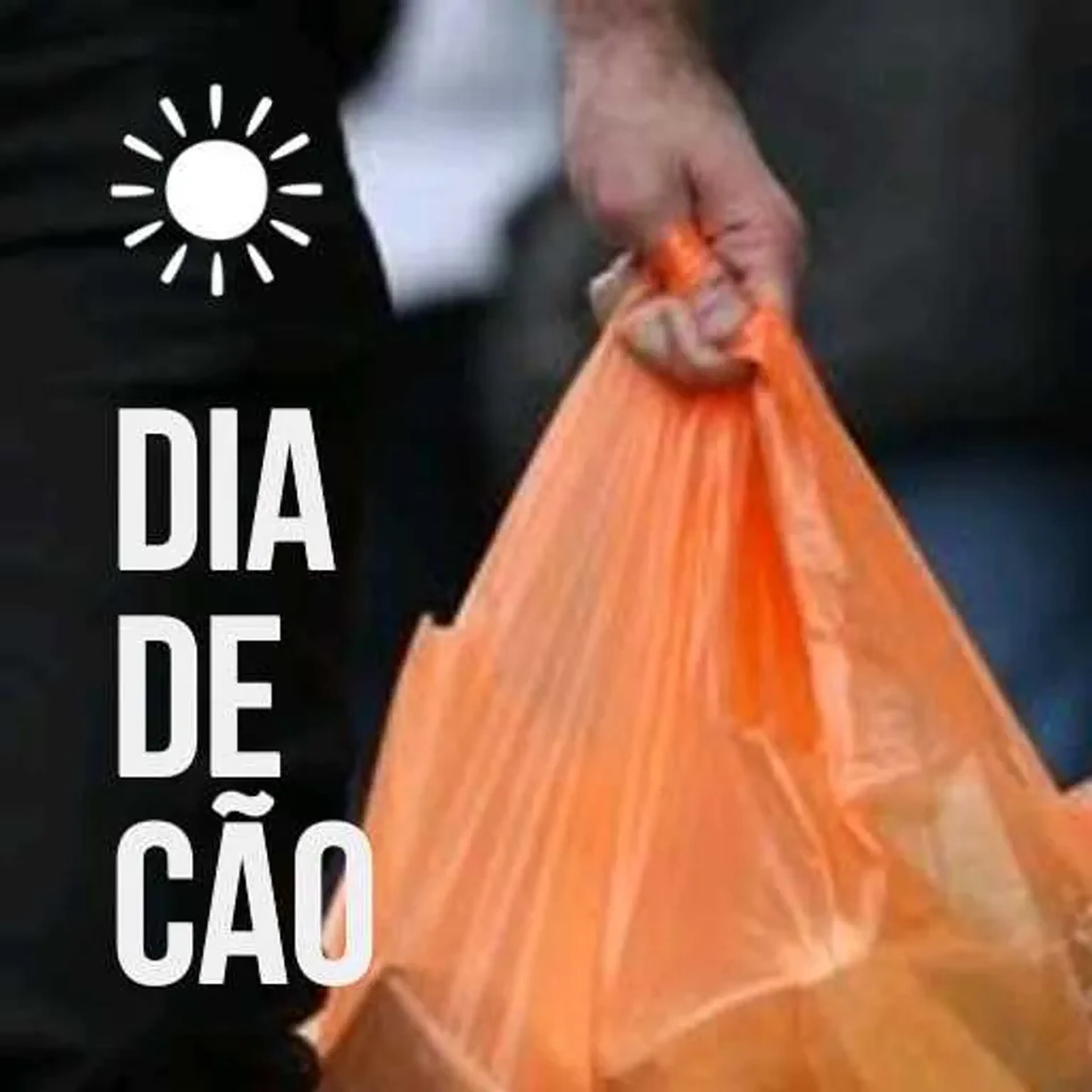 Dia De Cão imagem