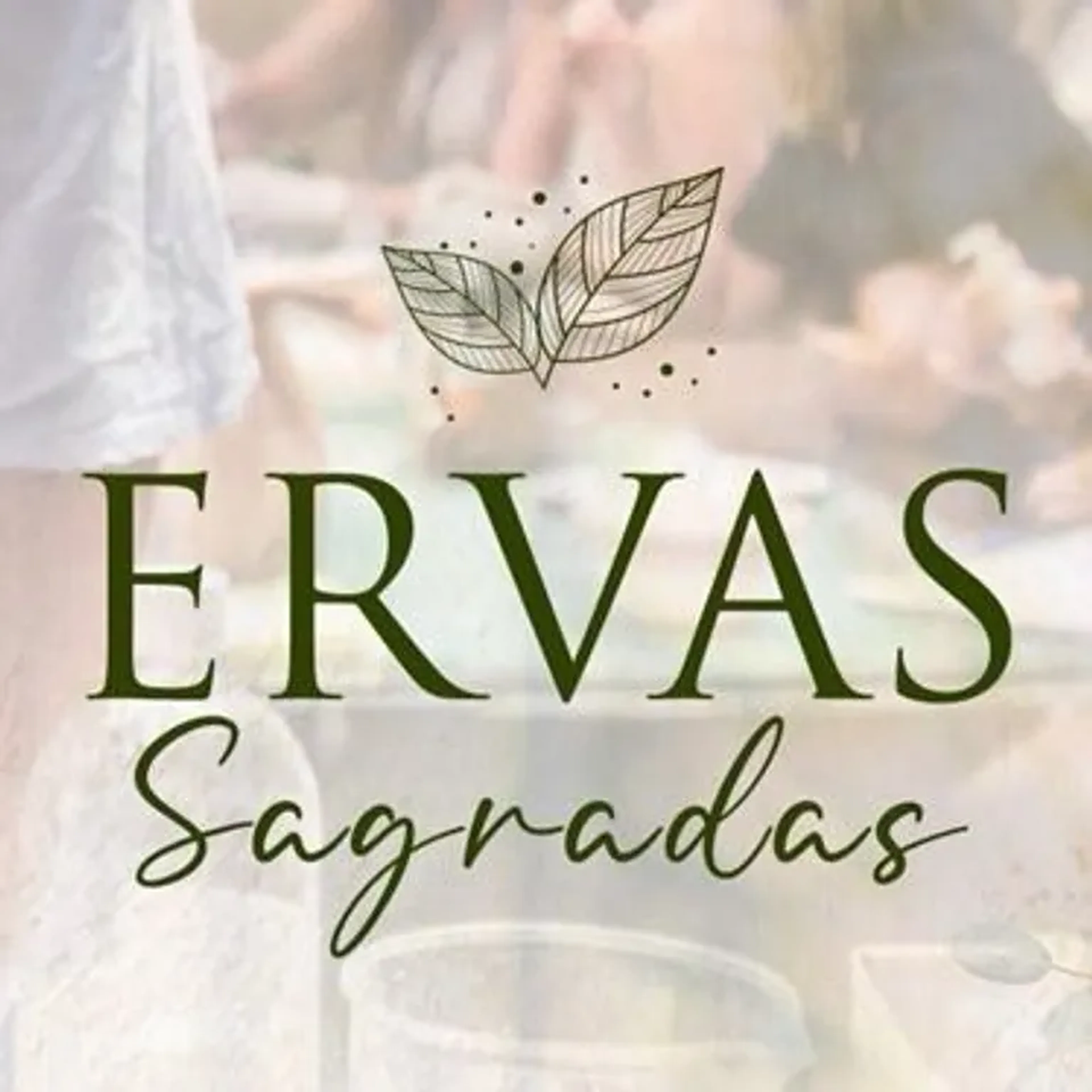 #lote2 Curso Ervas Sagradas Agosto Porto Alegre RS imagem