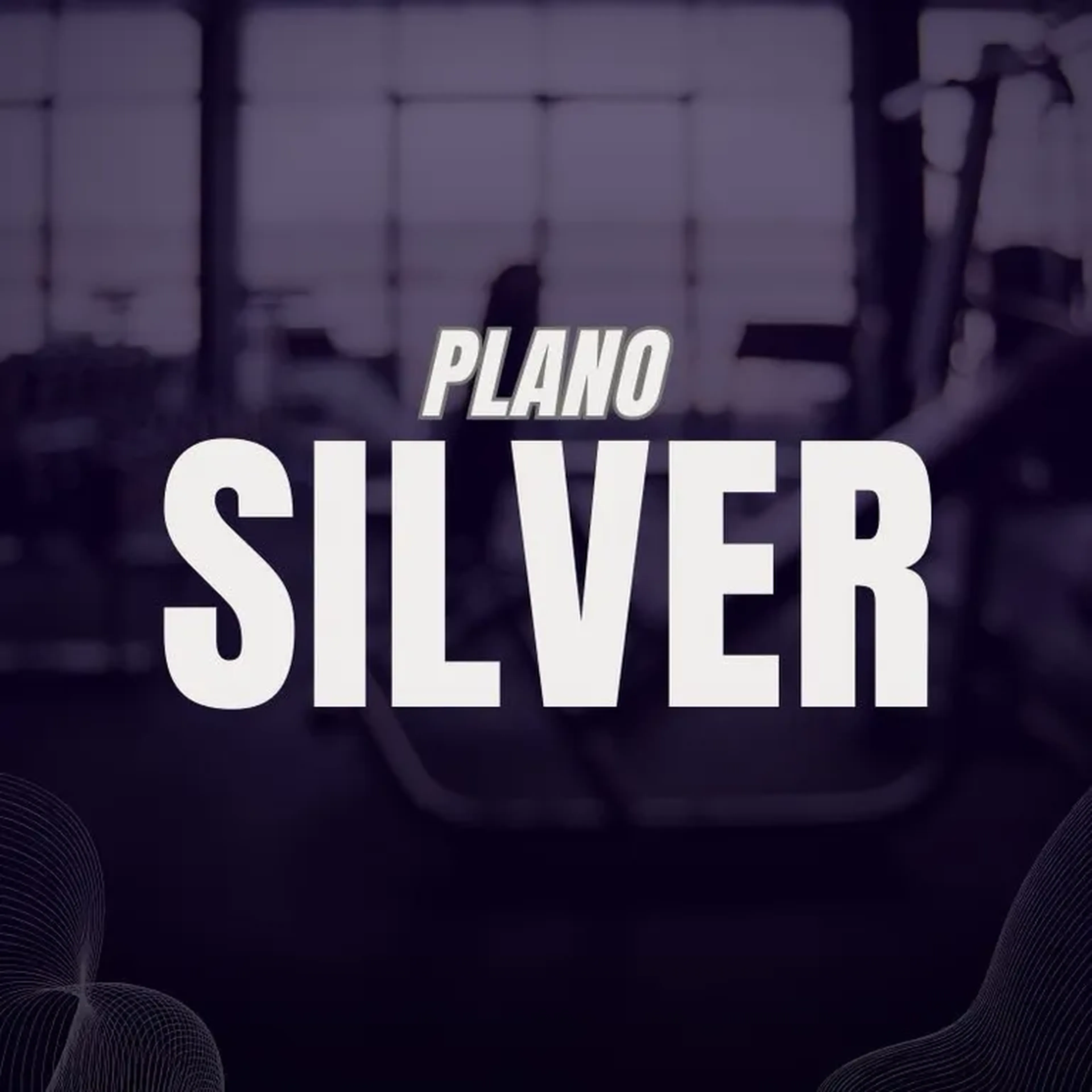 PLANILHA SILVER imagem