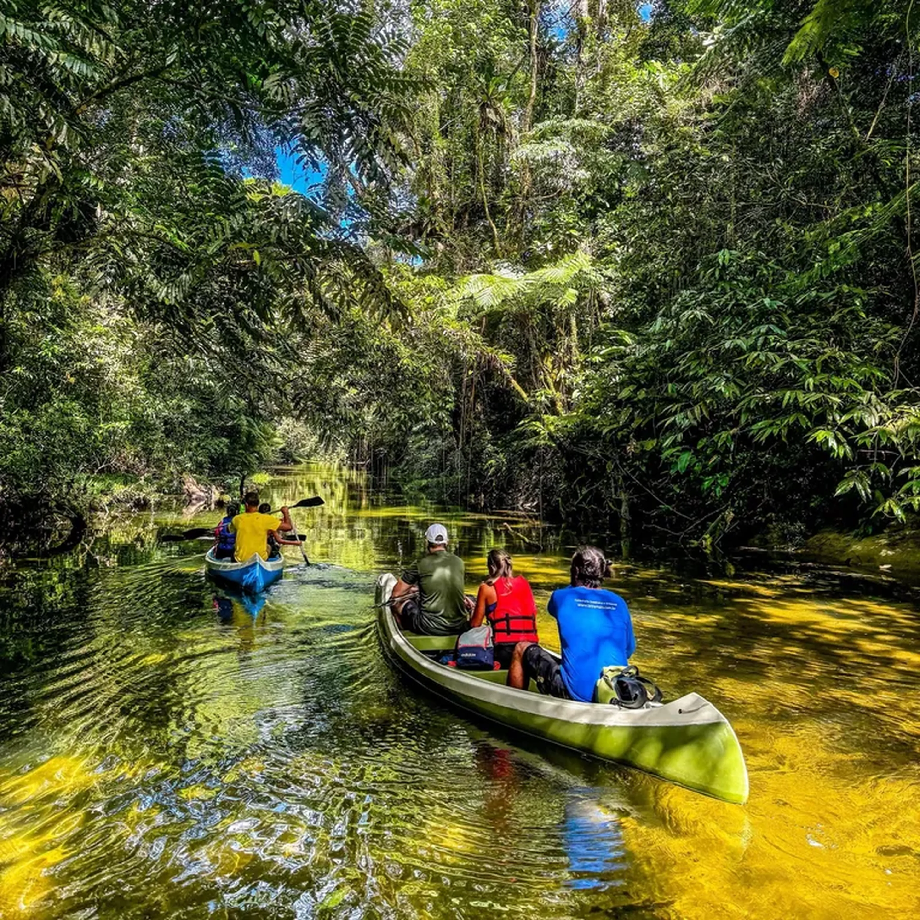 (11-10) Remada no Rio Jaguareguava imagem