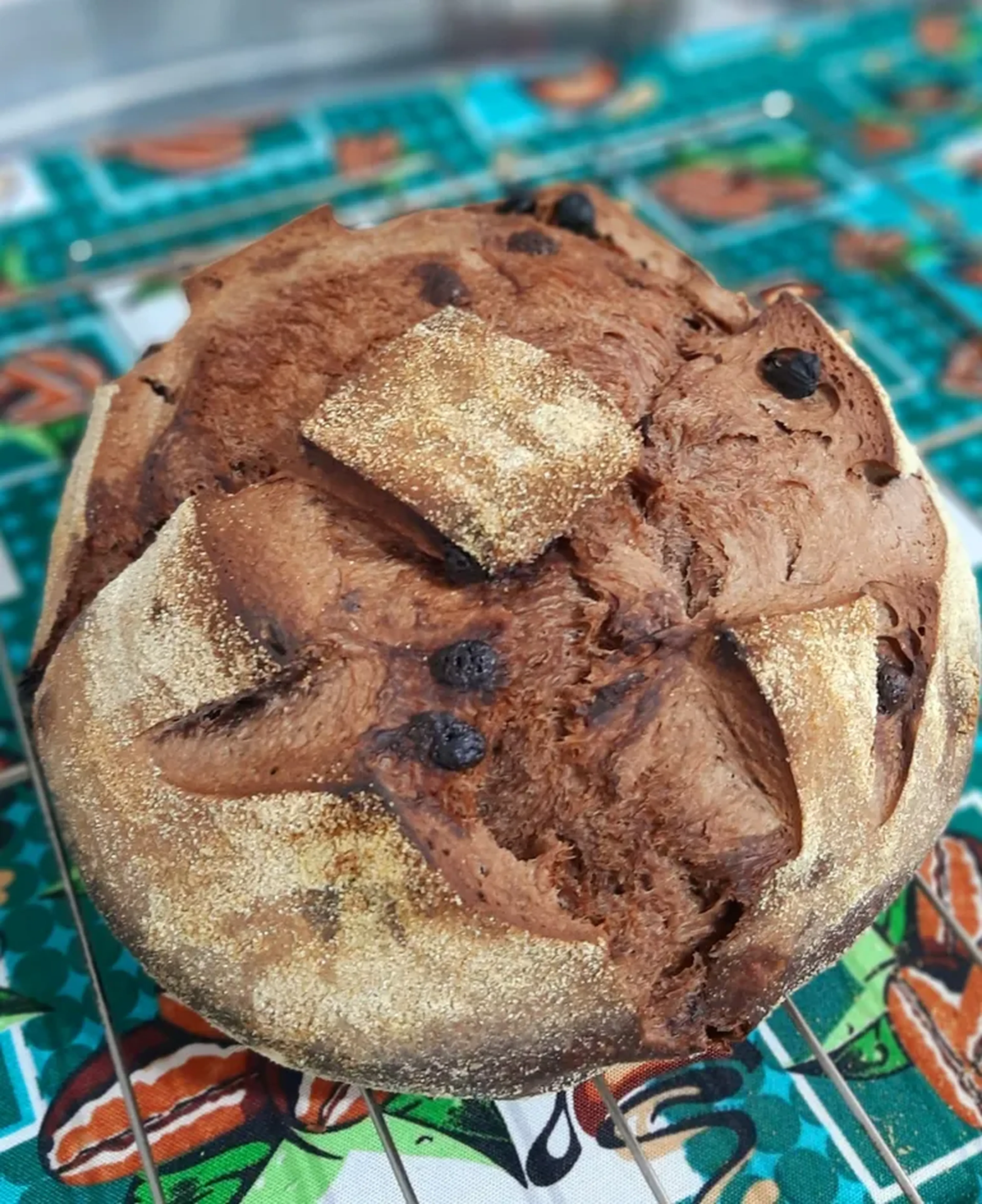 Pão Rústico Especial de Cacau 450gr imagem