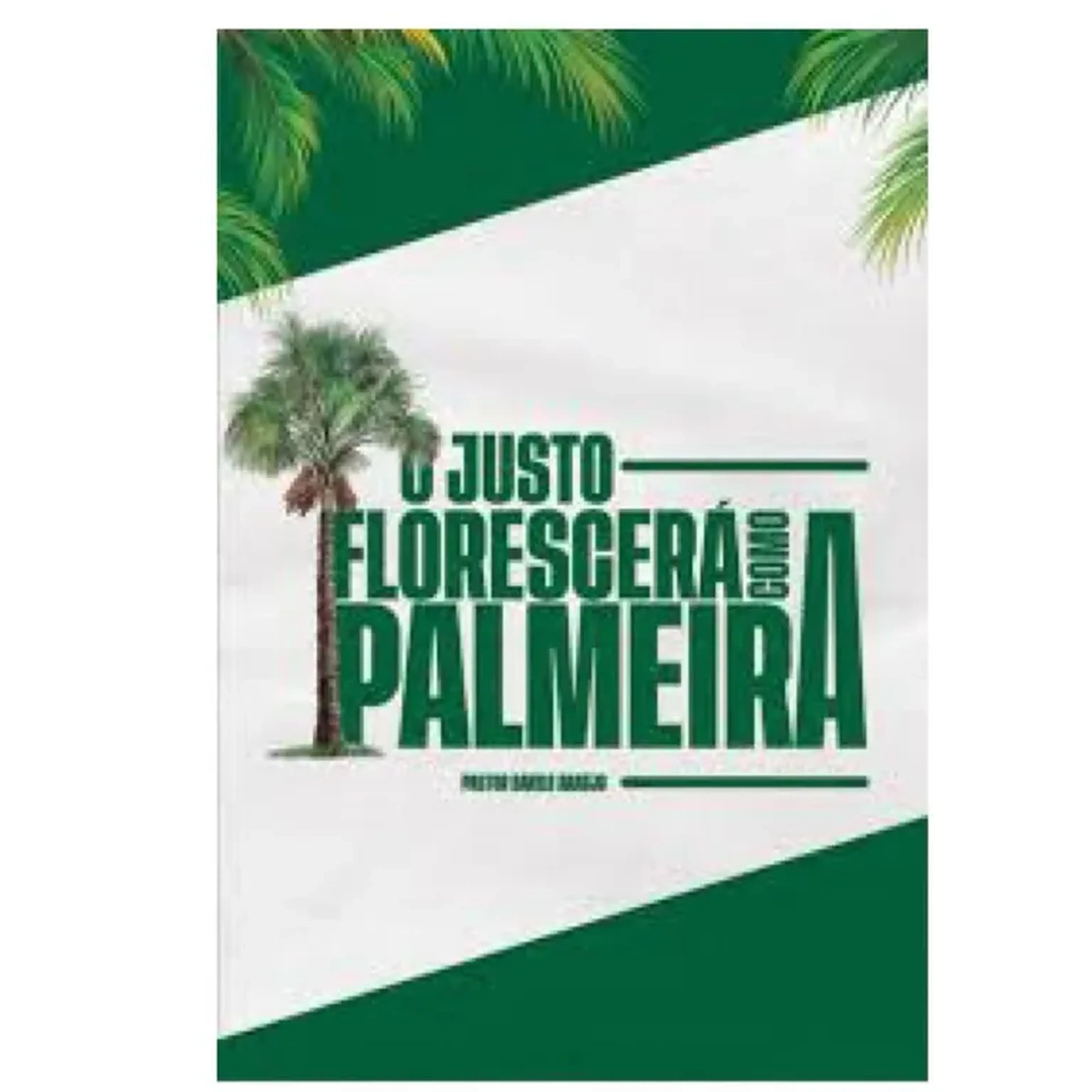 O Justo Florescerá como a Palmeira imagem
