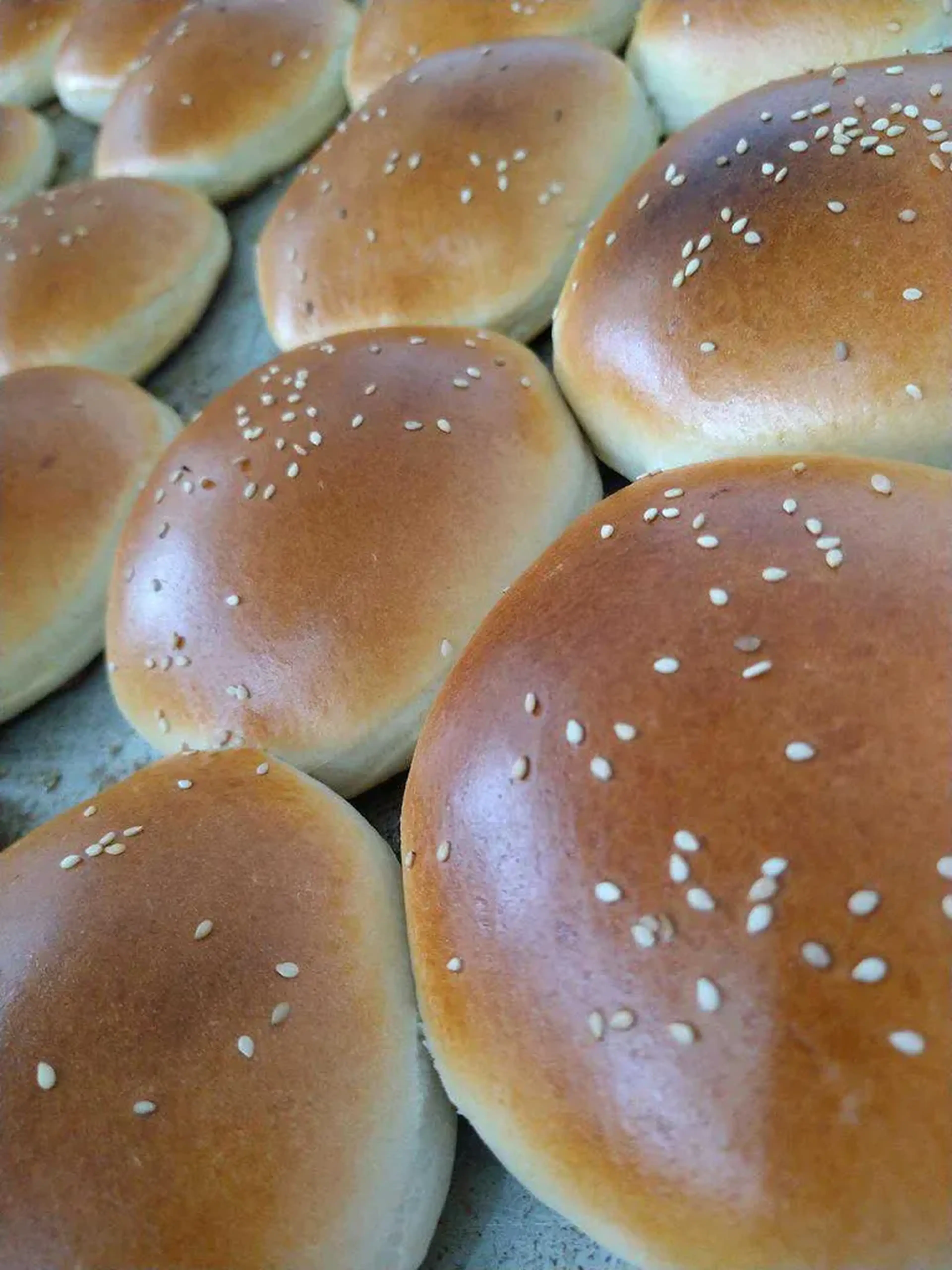 Hambúrguer Tradicional imagem