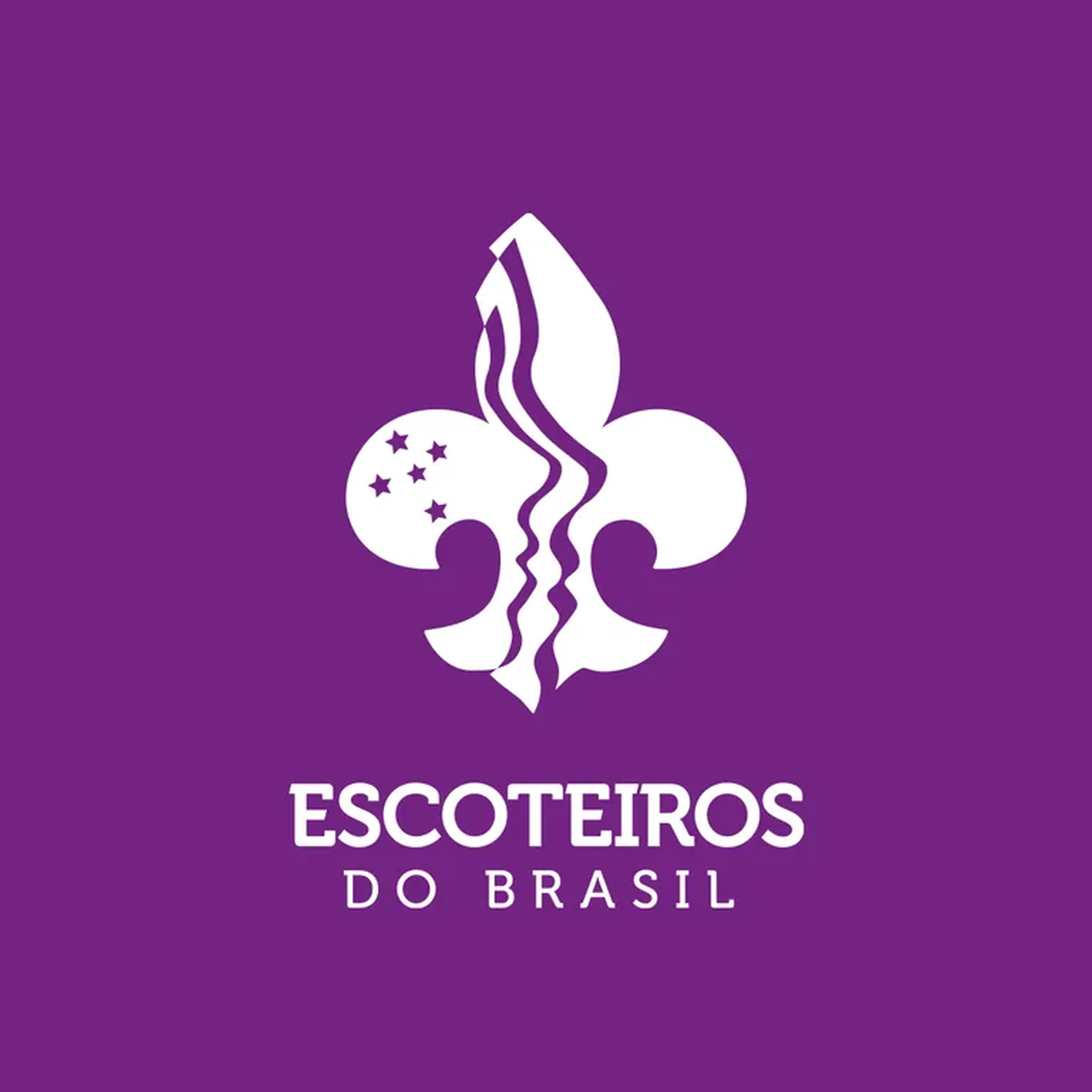 Contribuição Mensal posterior dia 20 Mês corrente imagem