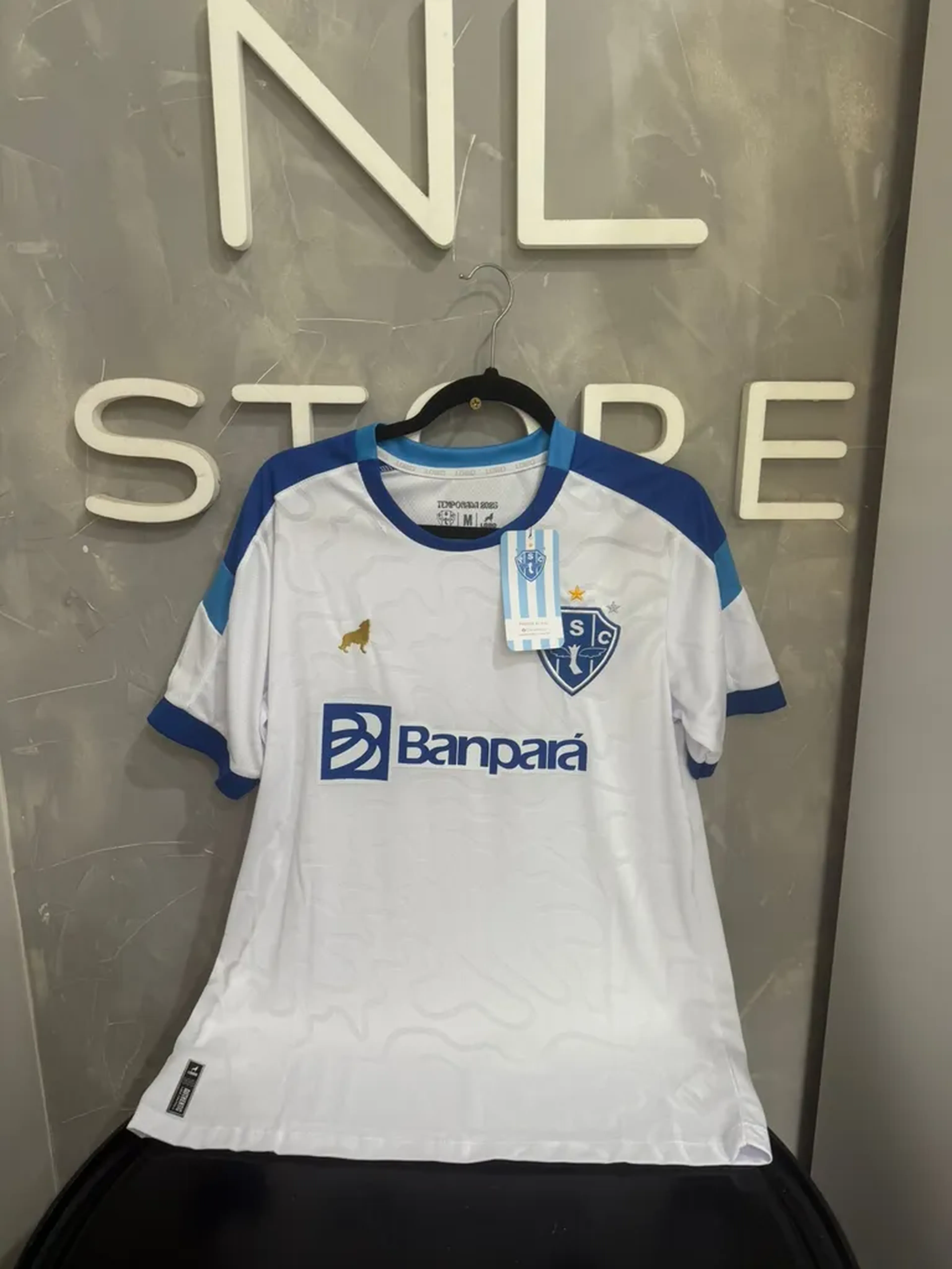 Camisa II Paysandu 2526 Masculina imagem