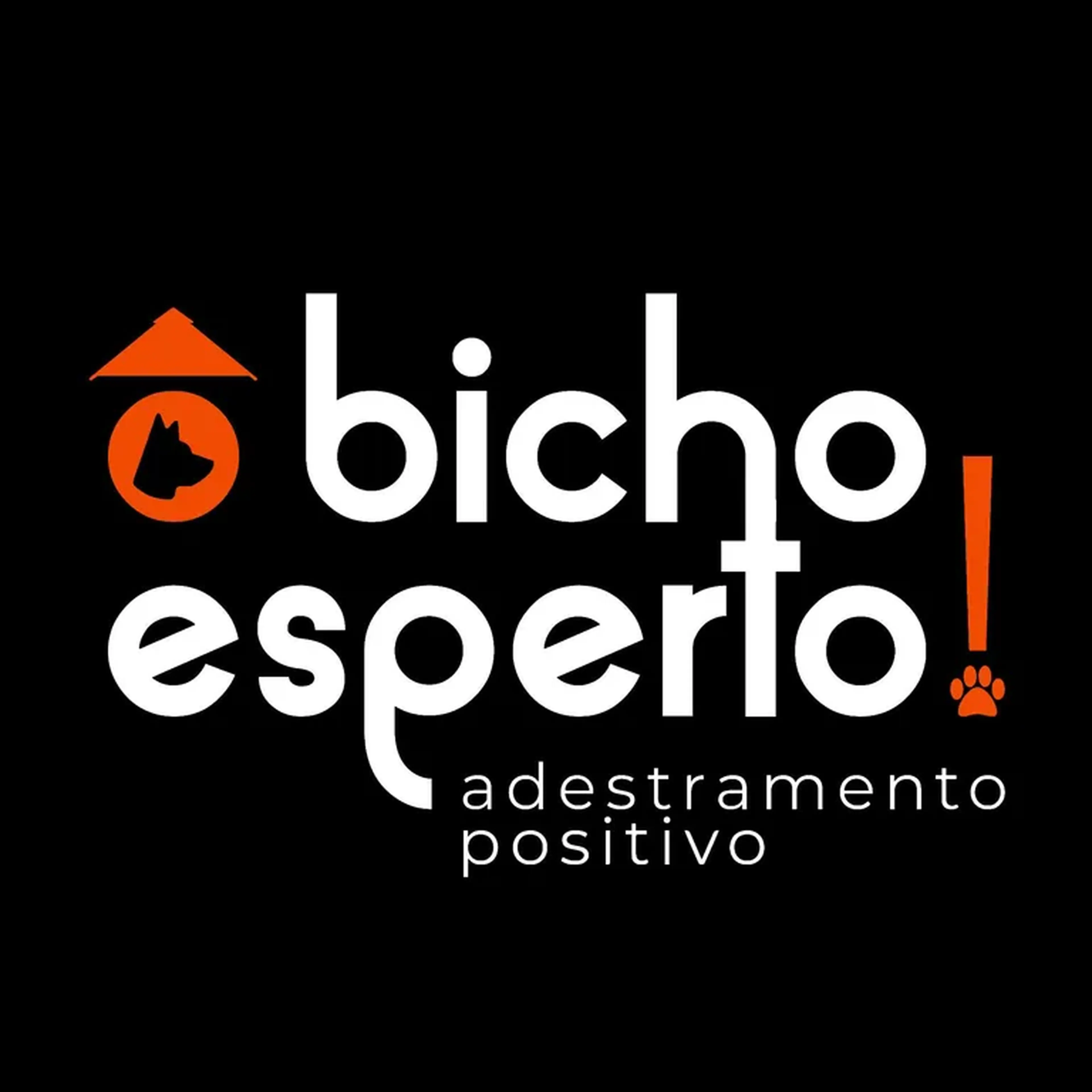 Pacote de 4 aulas - Adestramento da ÔBichoEsperto! imagem