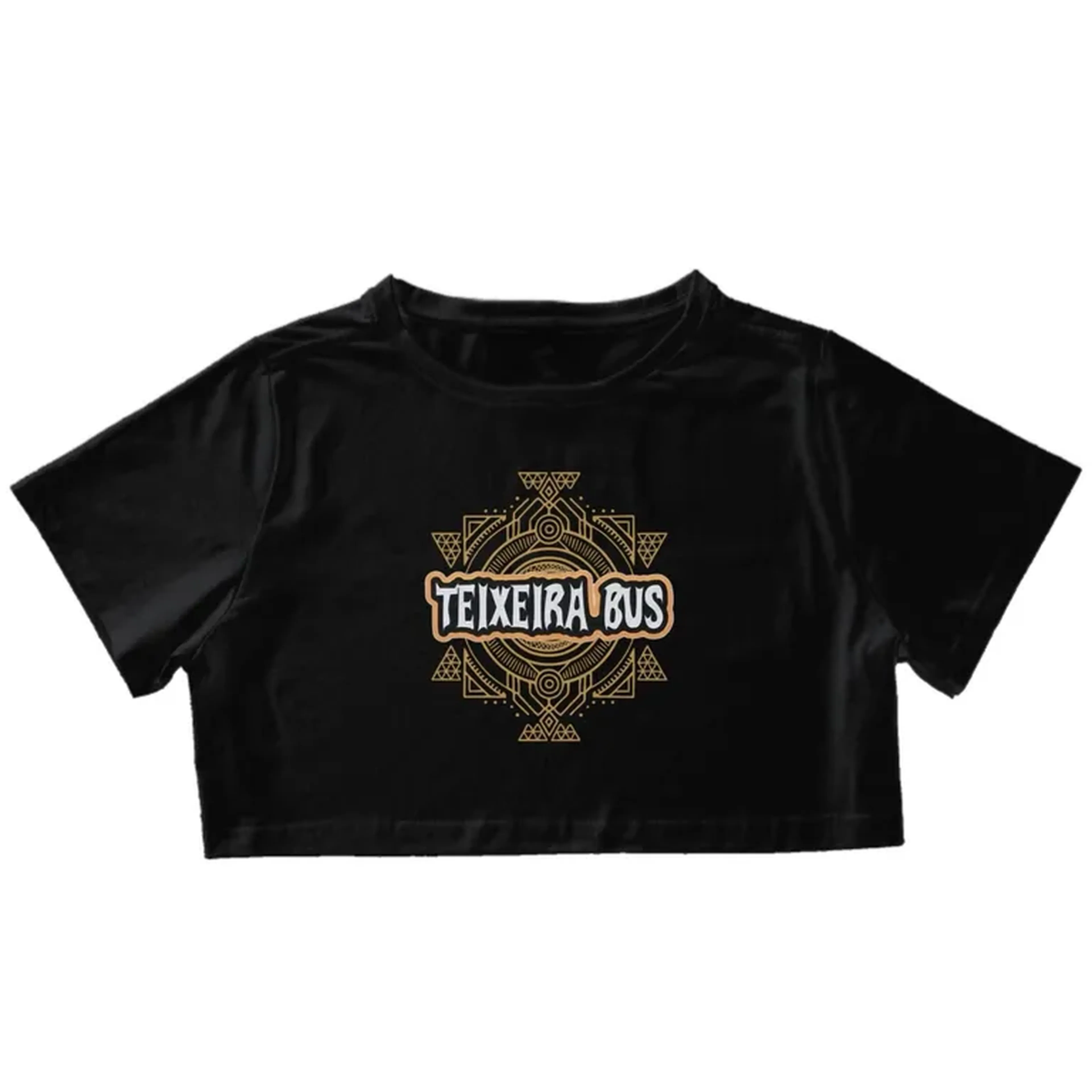 Cropped TeixeiraBus imagem