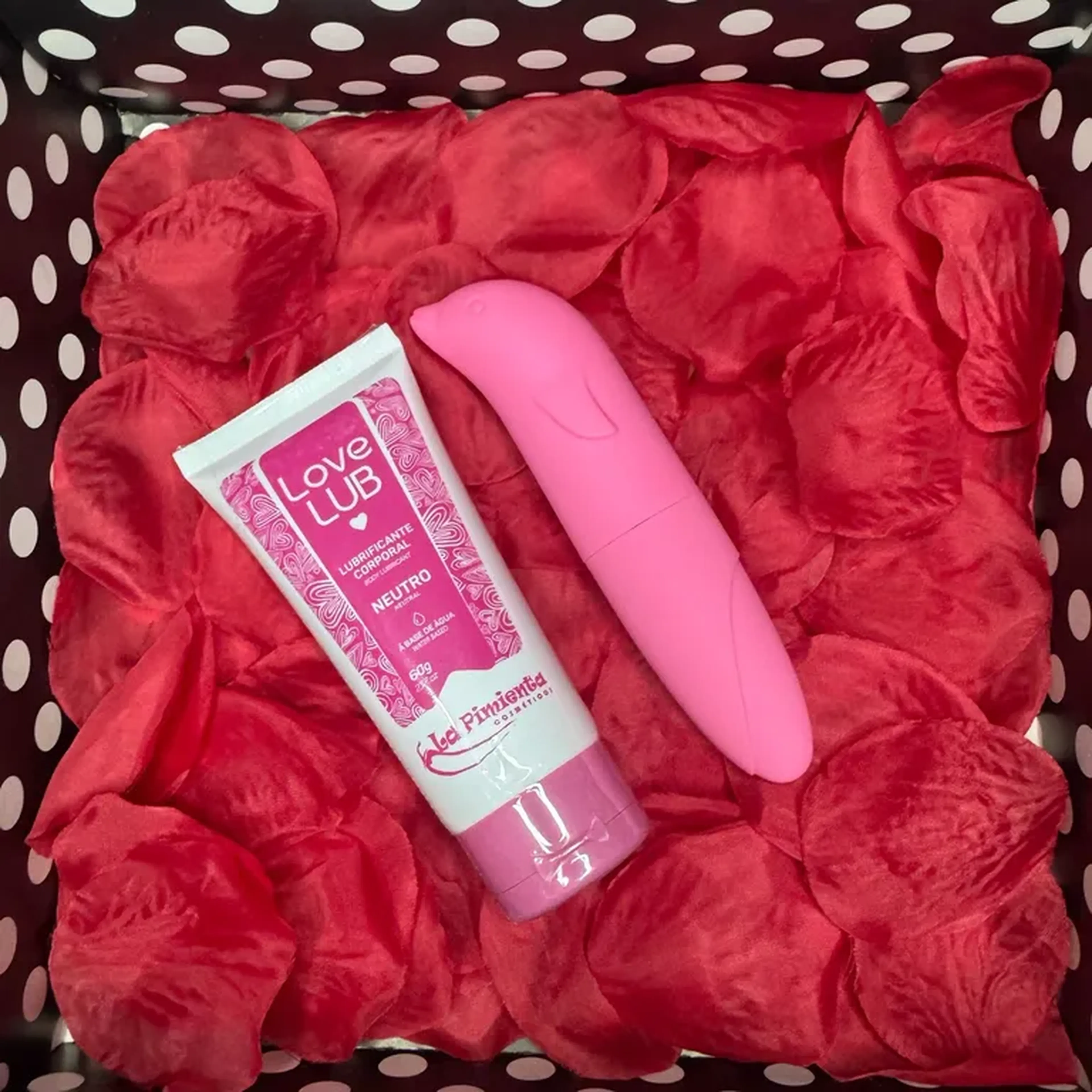 Kit lub + golfinho imagem