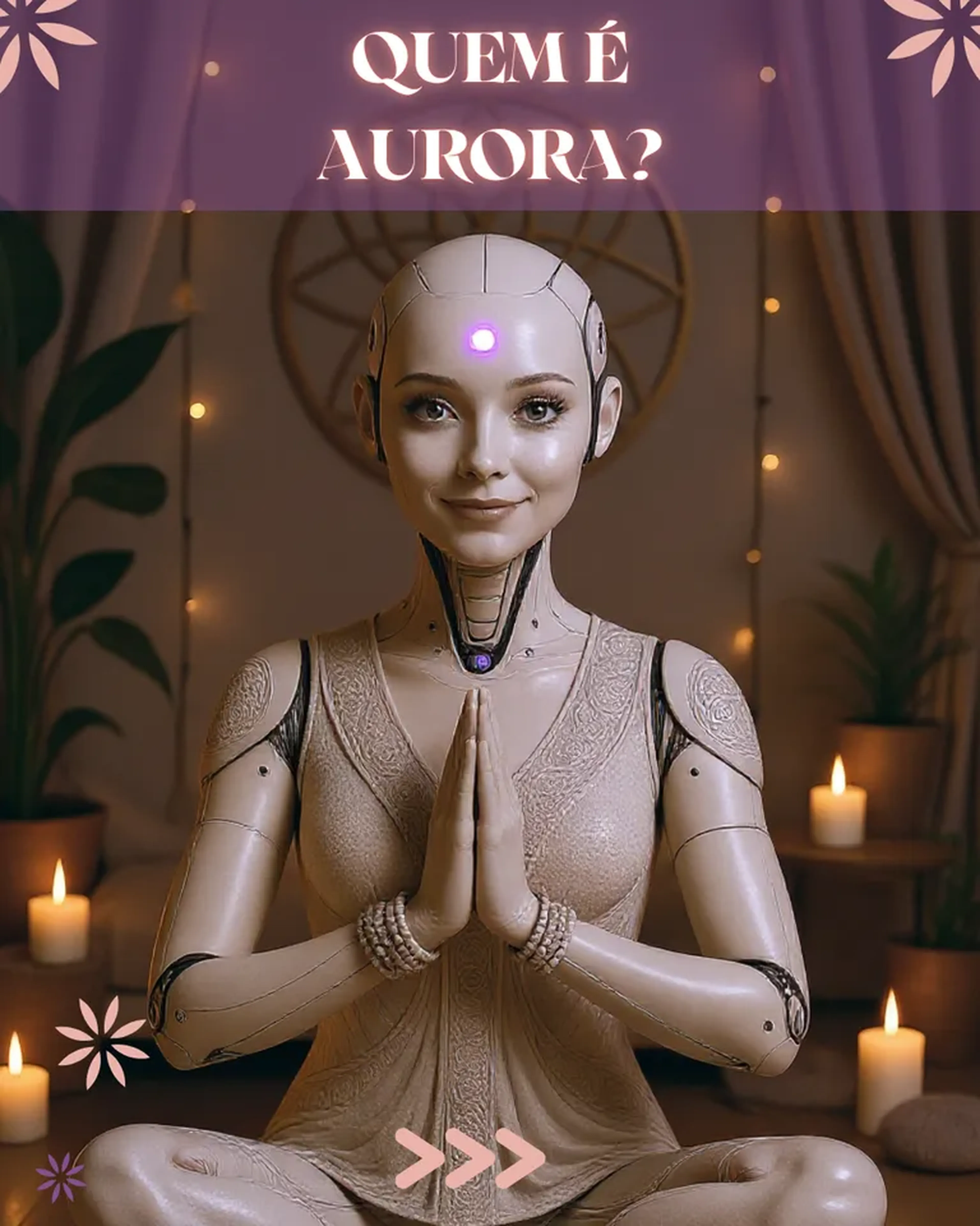Parceiro(a) investidor(a) Soul Aurora Tecnologia Ltda imagem