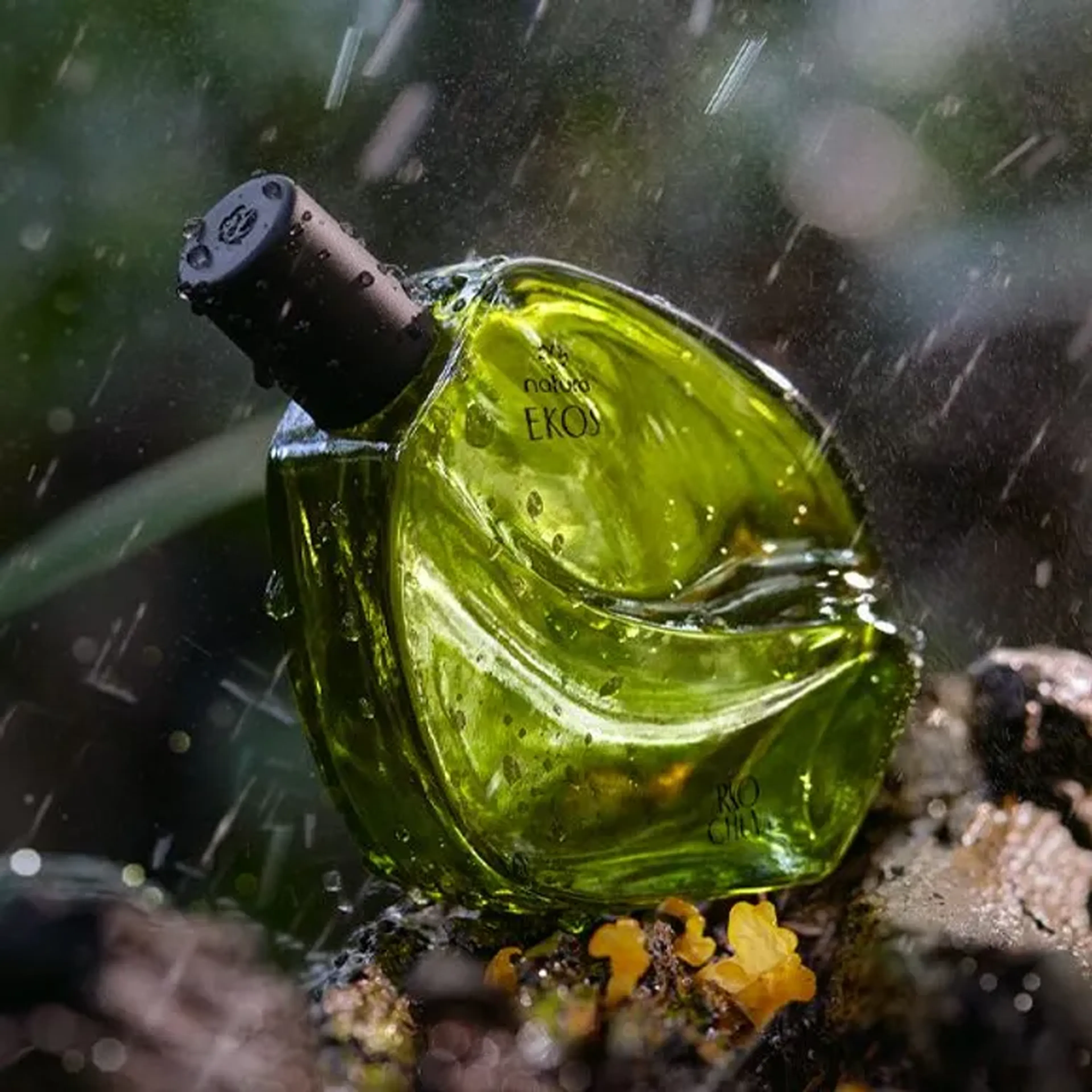 Perfume Natura Ekos Rio Chuva imagem