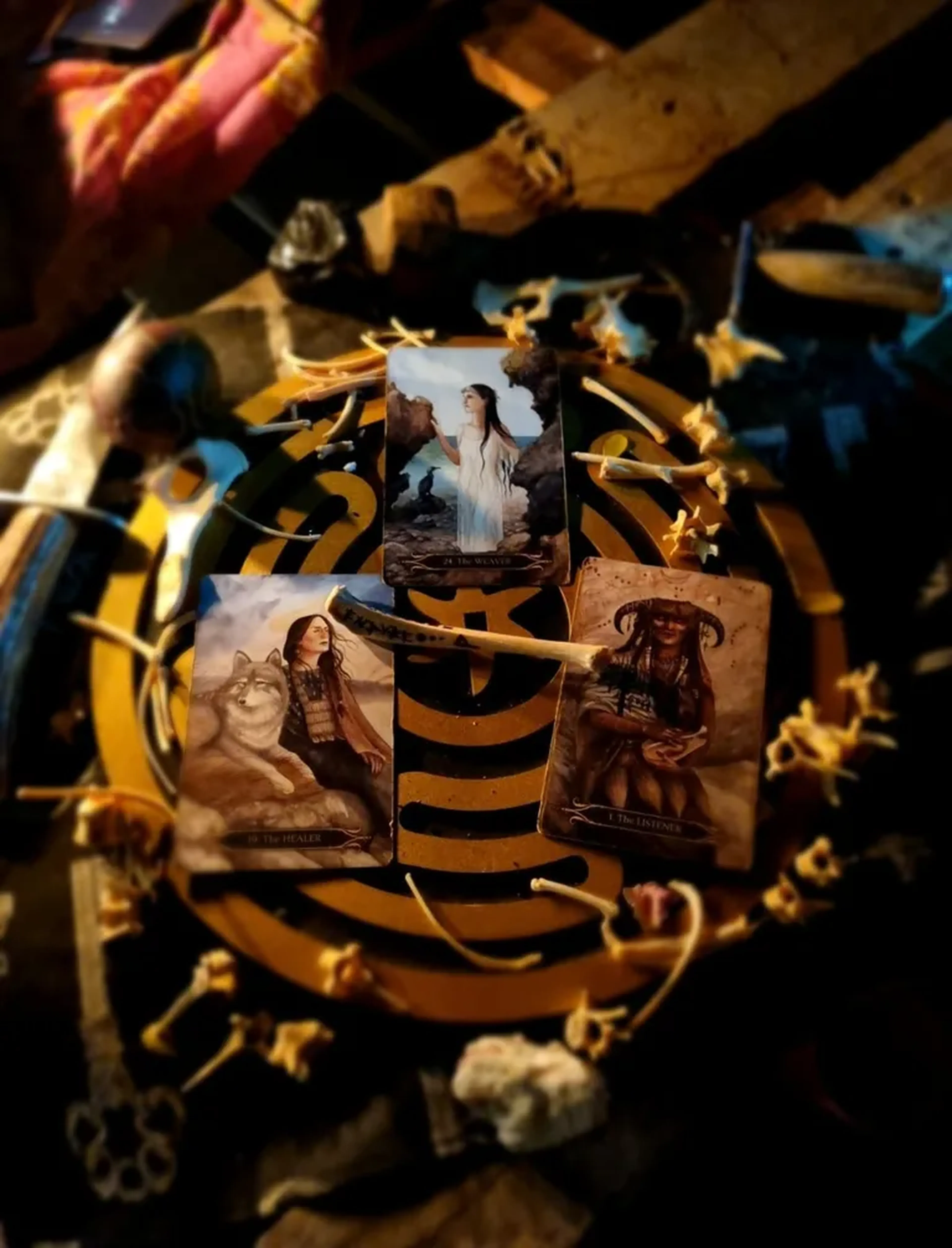 Leitura dos Ossos - Corvo imagem