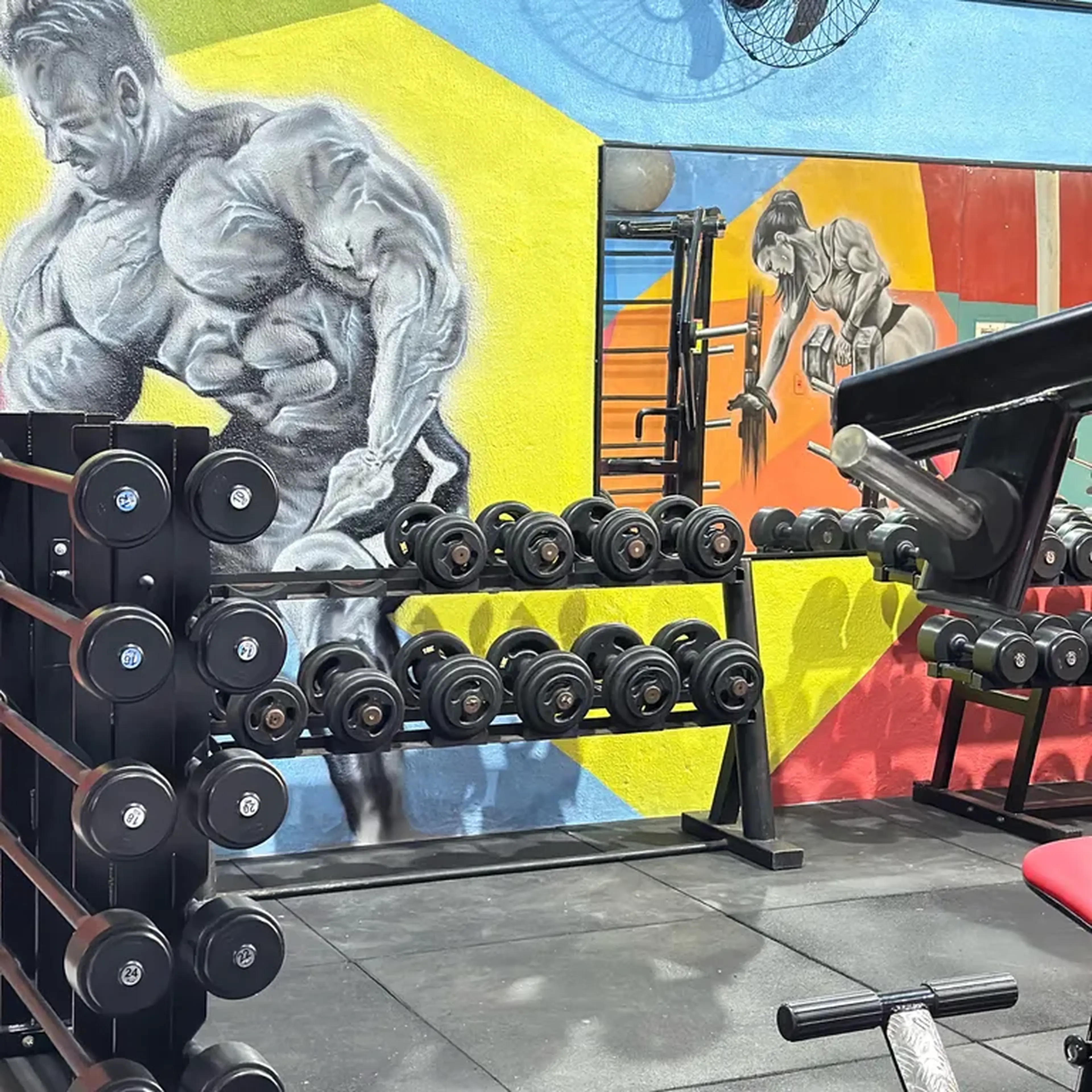 Musculação imagem