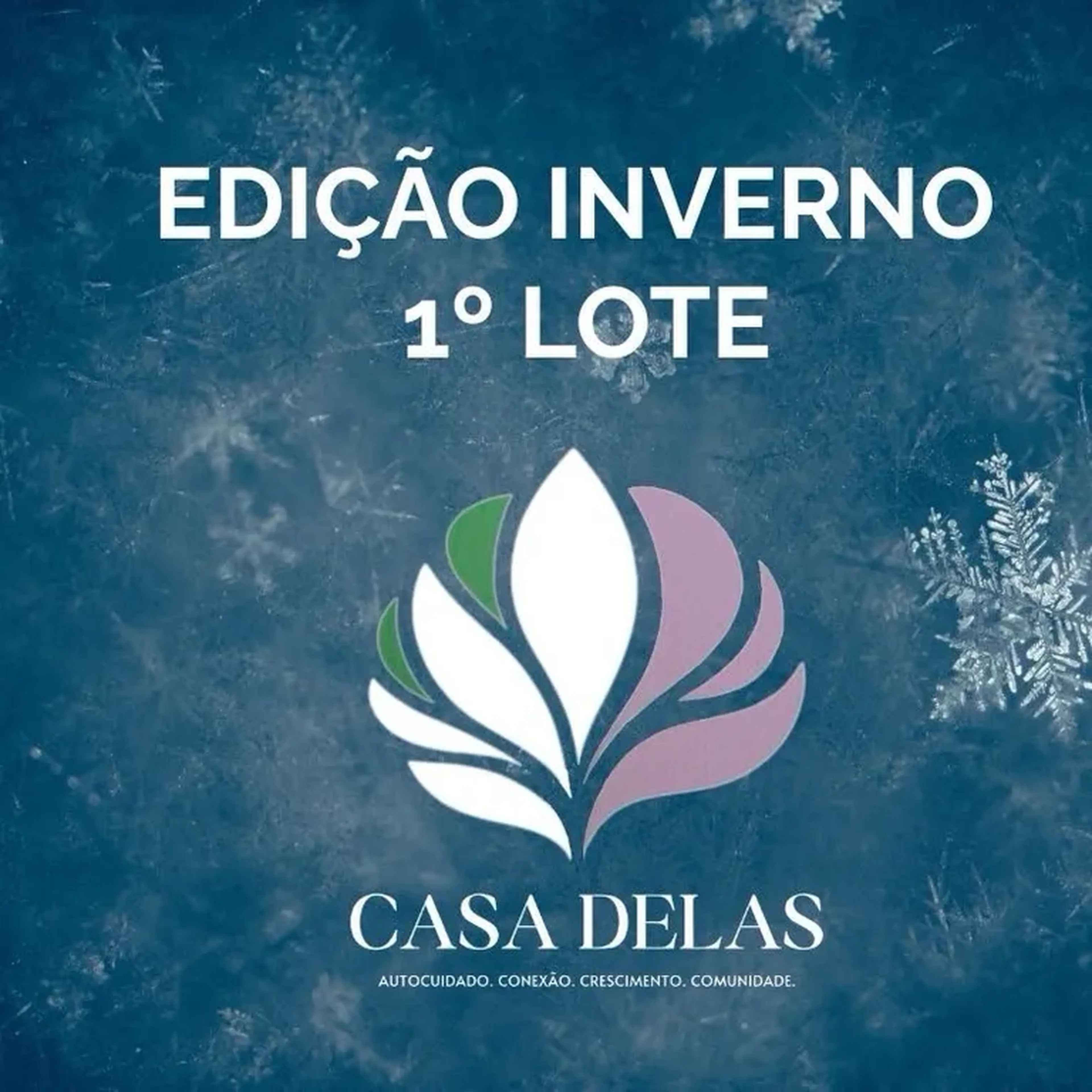 Edição Inverno - Lote Geral imagem