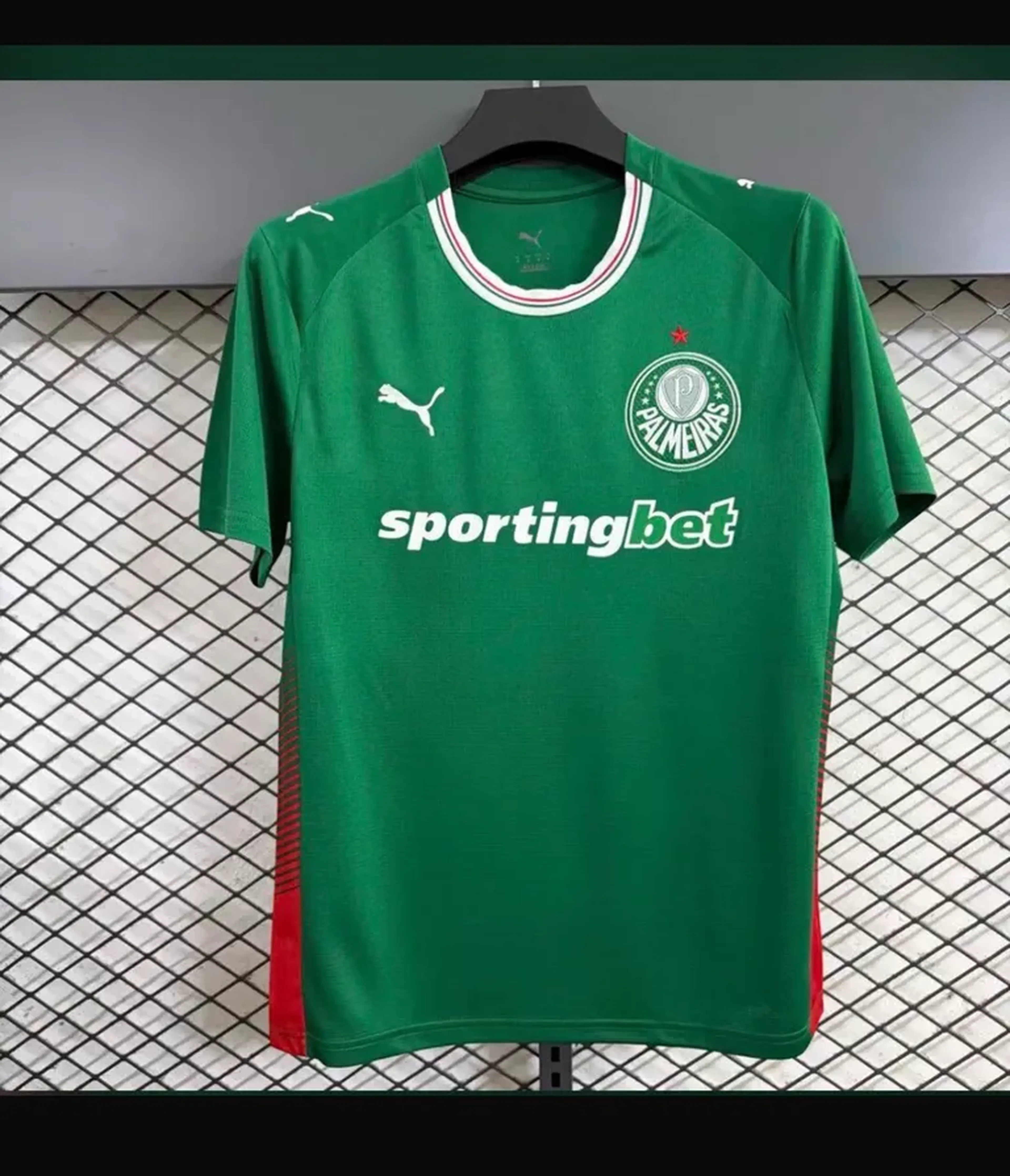 Camisa Palmeiras (Temporada 2026) imagem