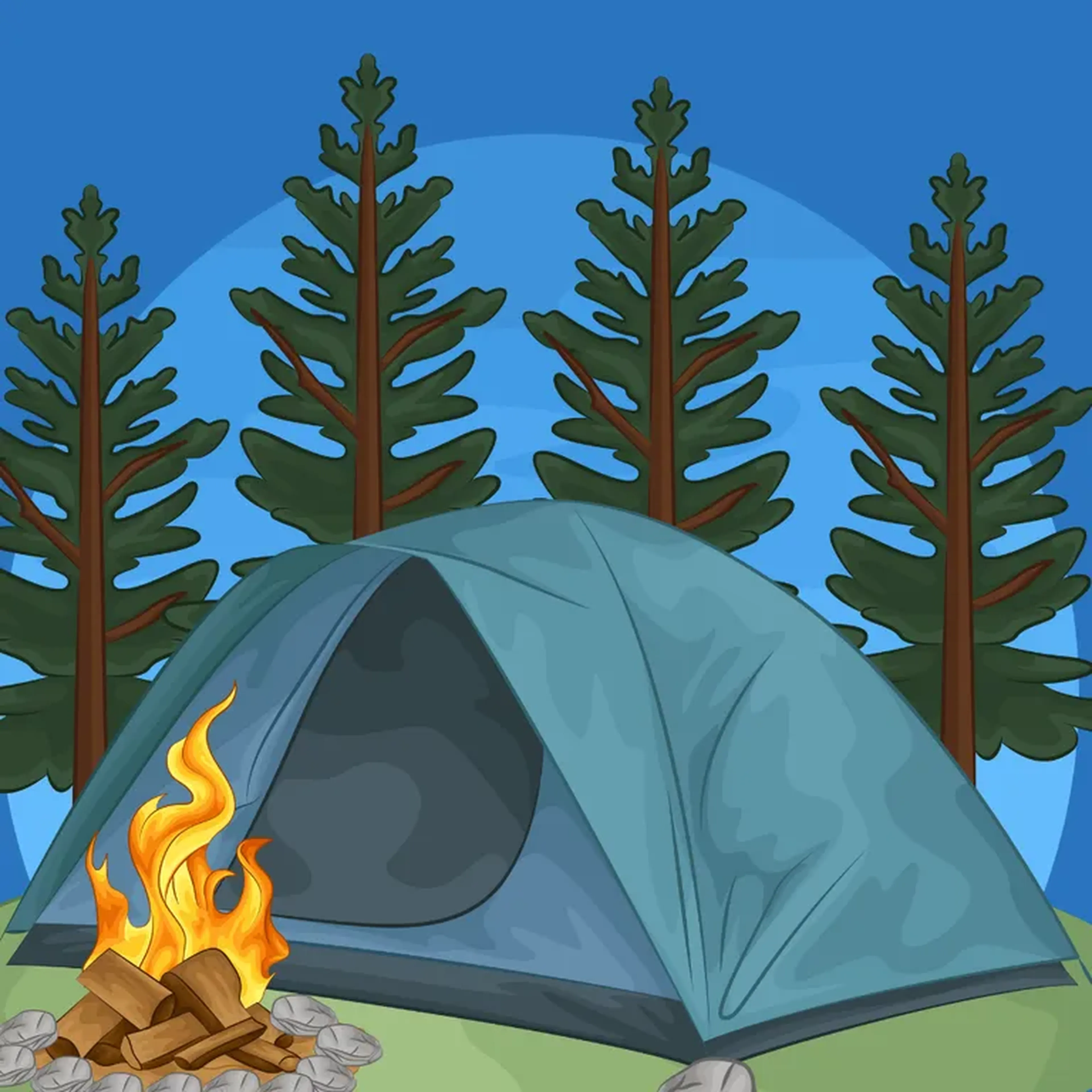 Acampamento de Sobrevivência - Sênior imagem