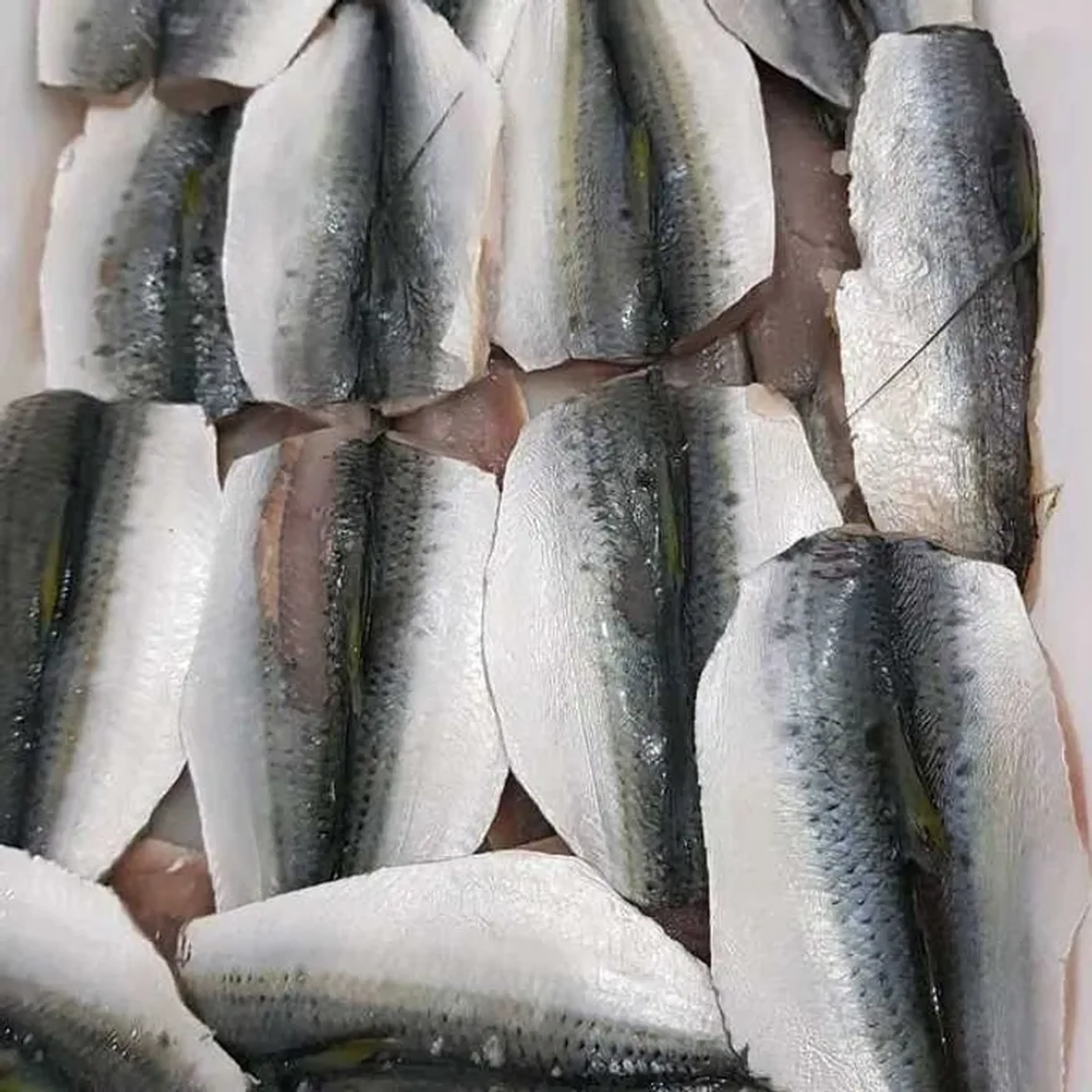 SARDINHA ESPALMADA SEM ESPINHAS imagem