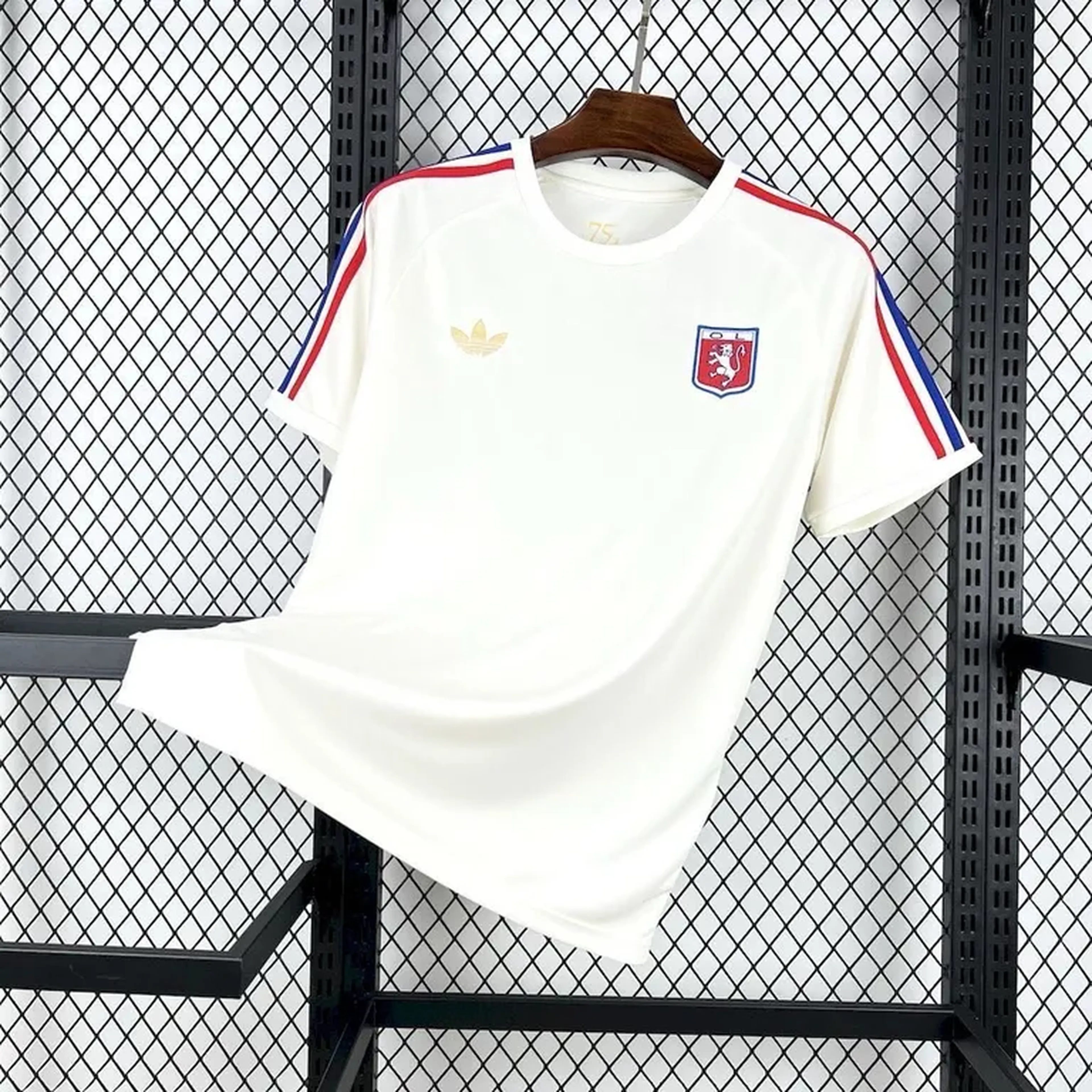 Camiseta Lyon Special 25 26 imagem