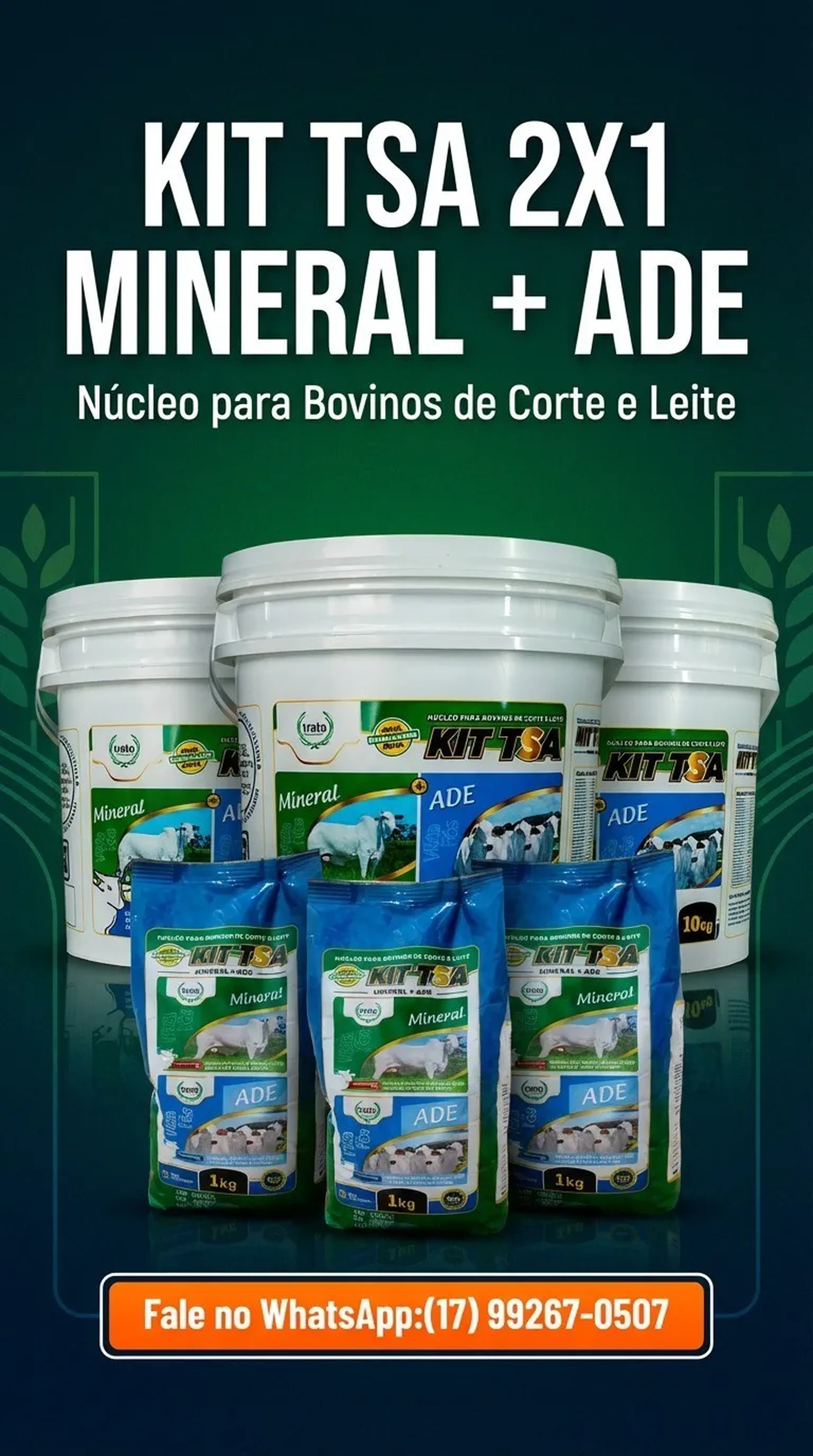 O KIT TSA 2X1 MINERAL + ADE, PARA BOVINOS DE CORTE E LEITE. imagem