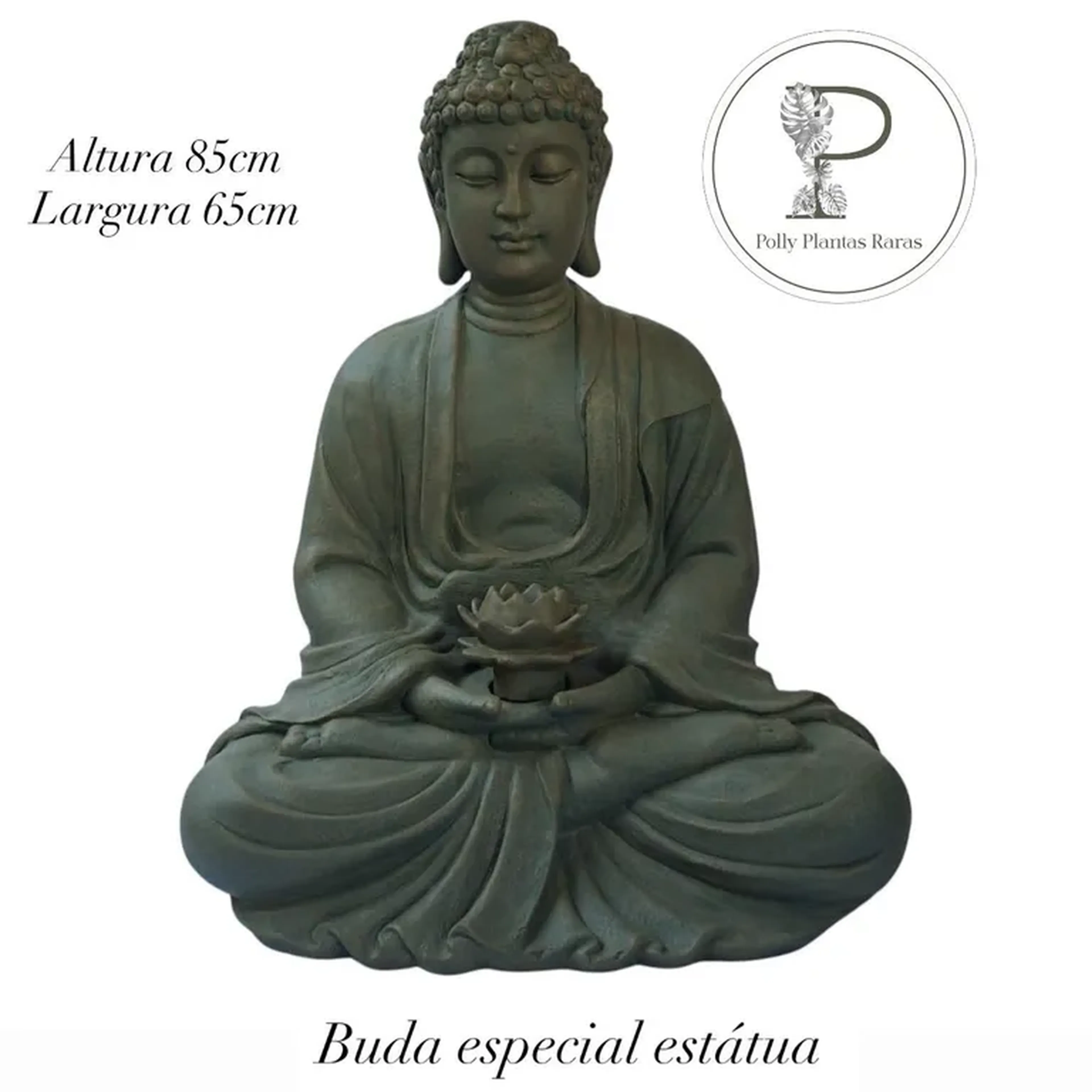 Estátua Buda Especial imagem