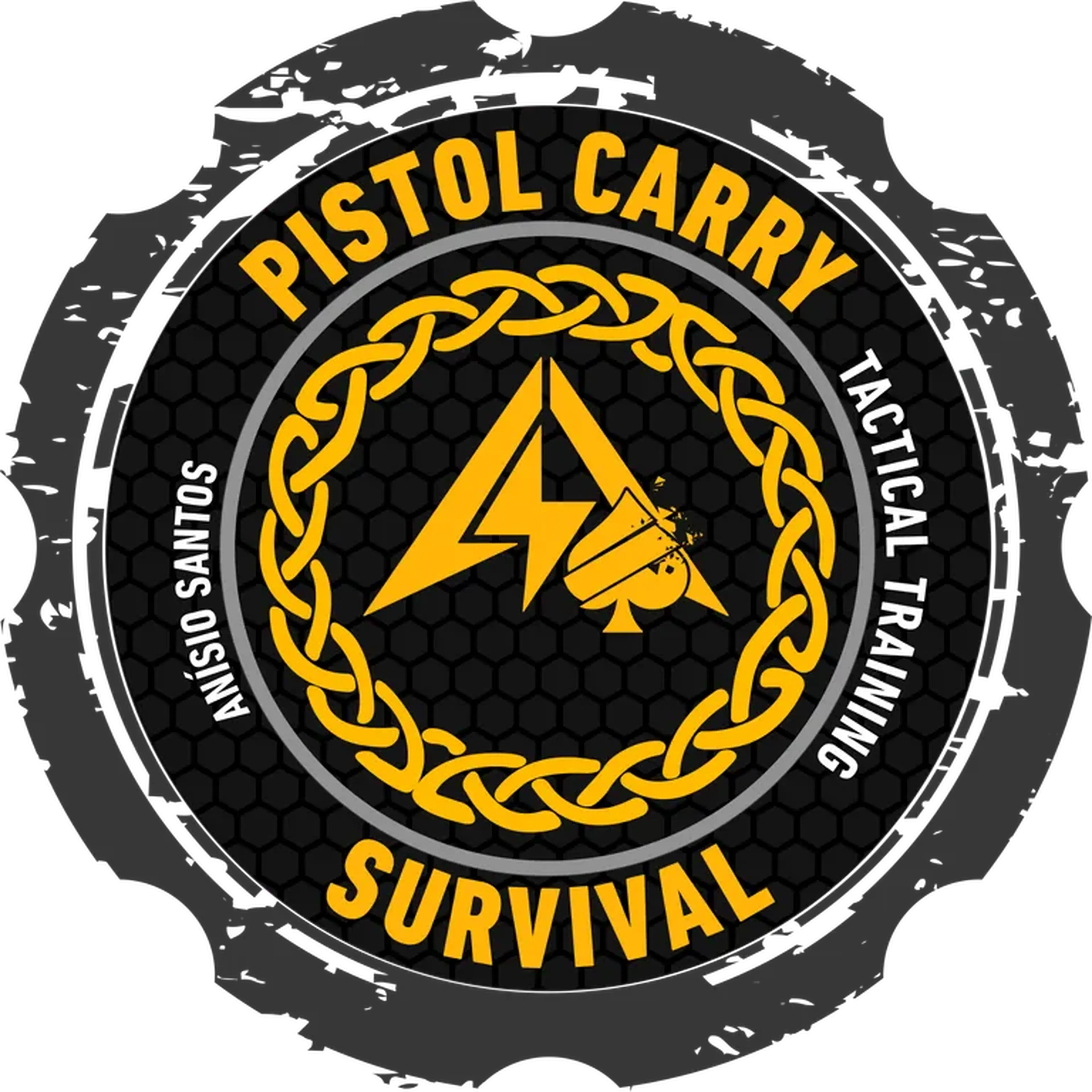 PISTOL CARRY SURVIVAL imagem