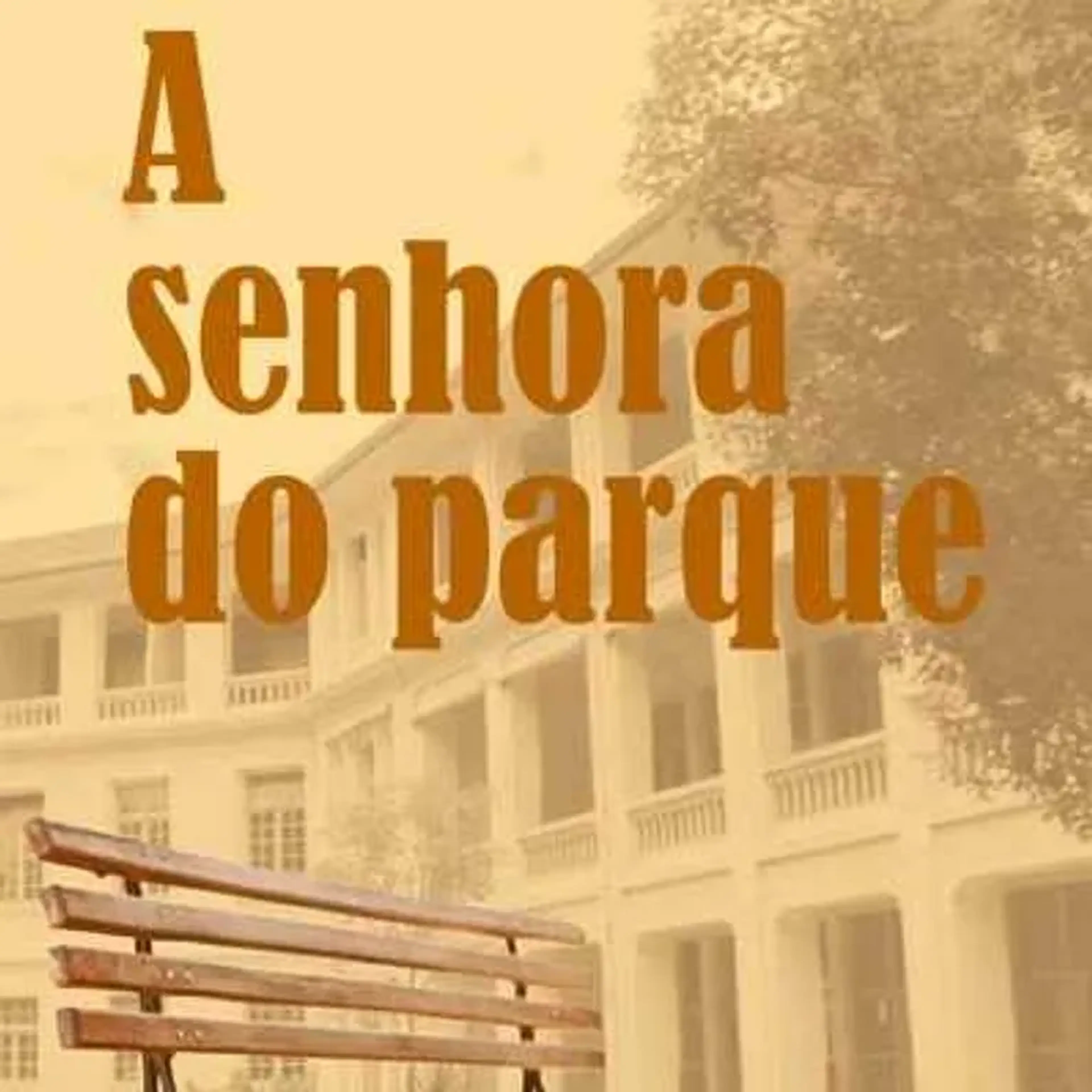 Livro A Senhora do Parque + FRETE imagem