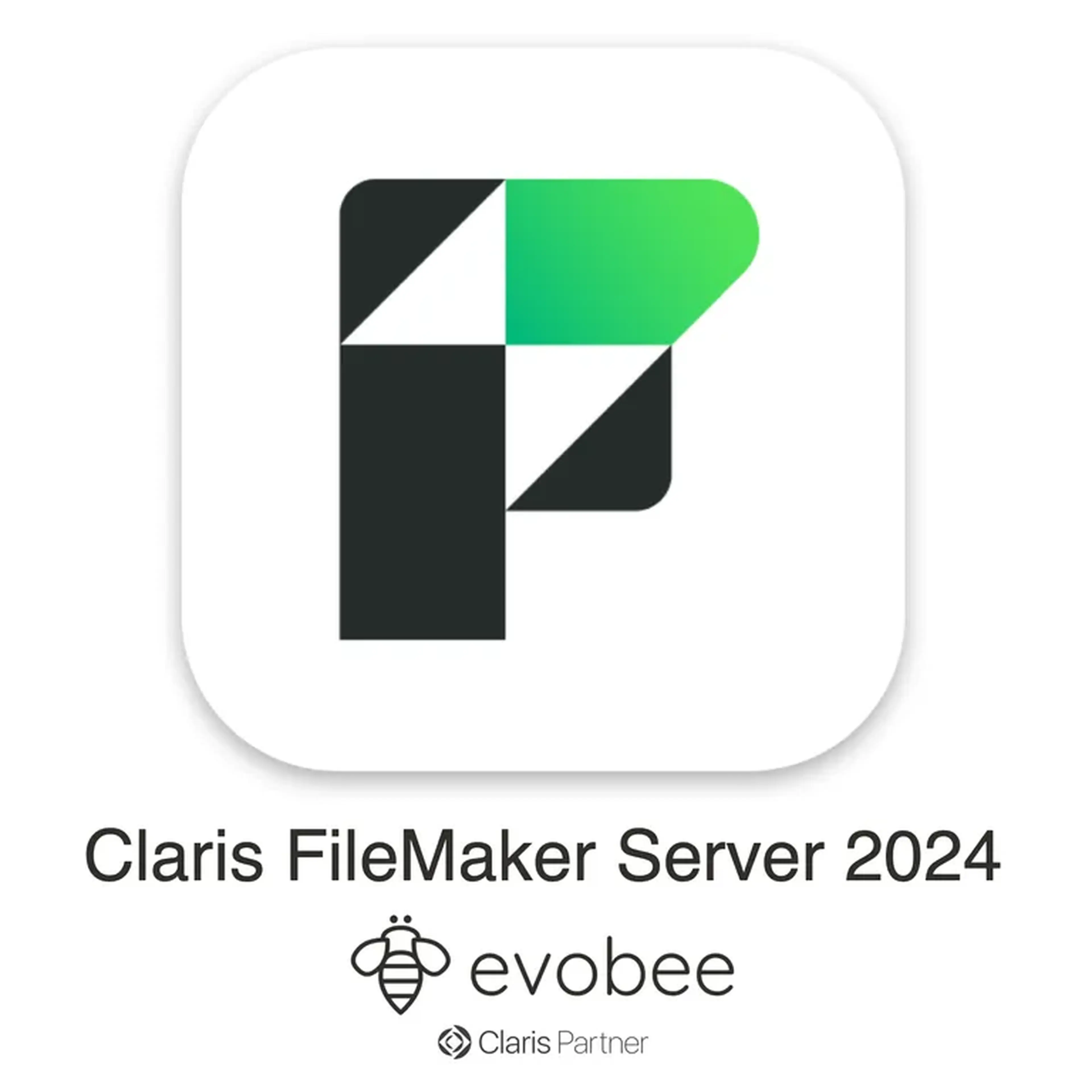 10 usuários - Calris FileMaker Anual para Equipes imagem