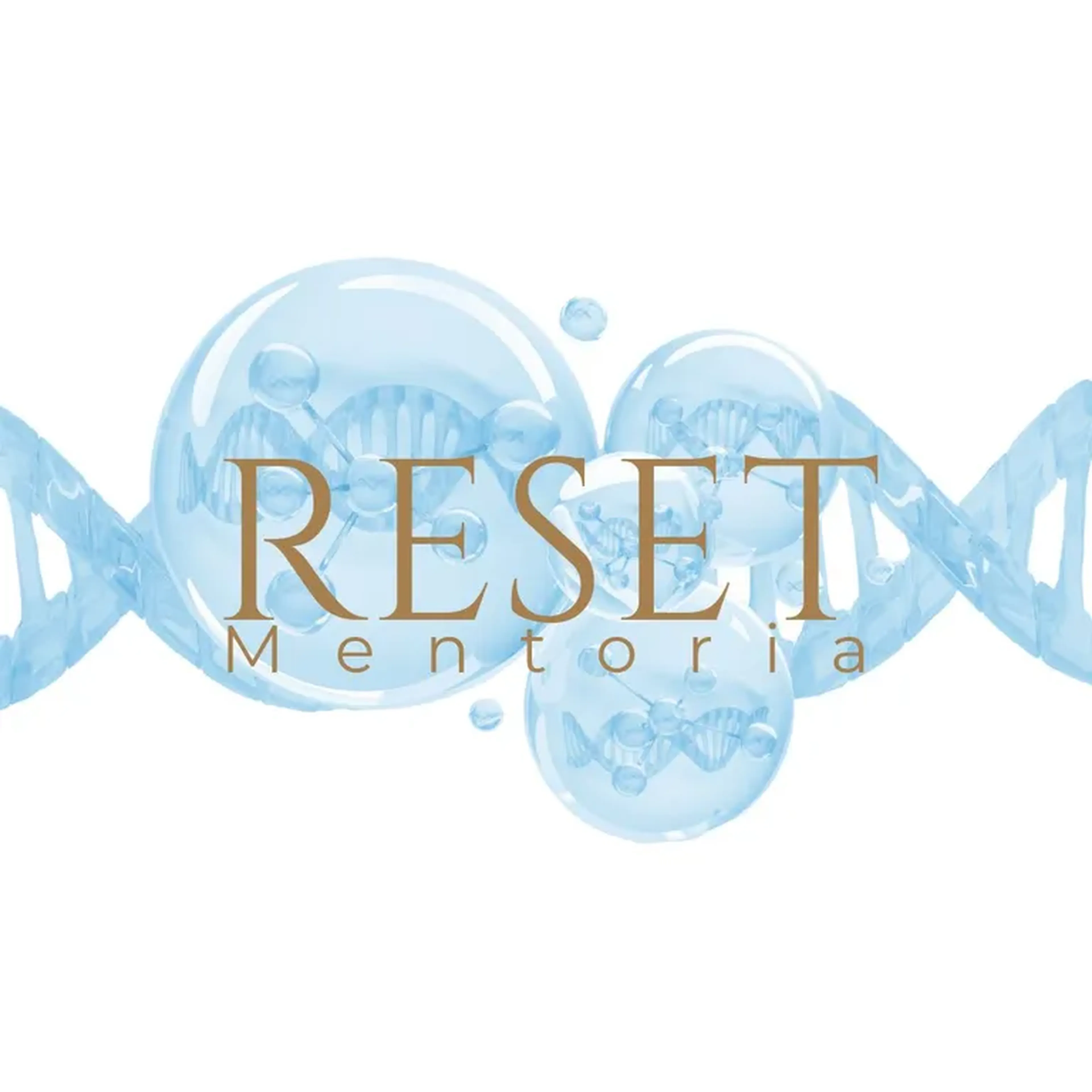 Mentoria RESET Hibrida 3M imagem