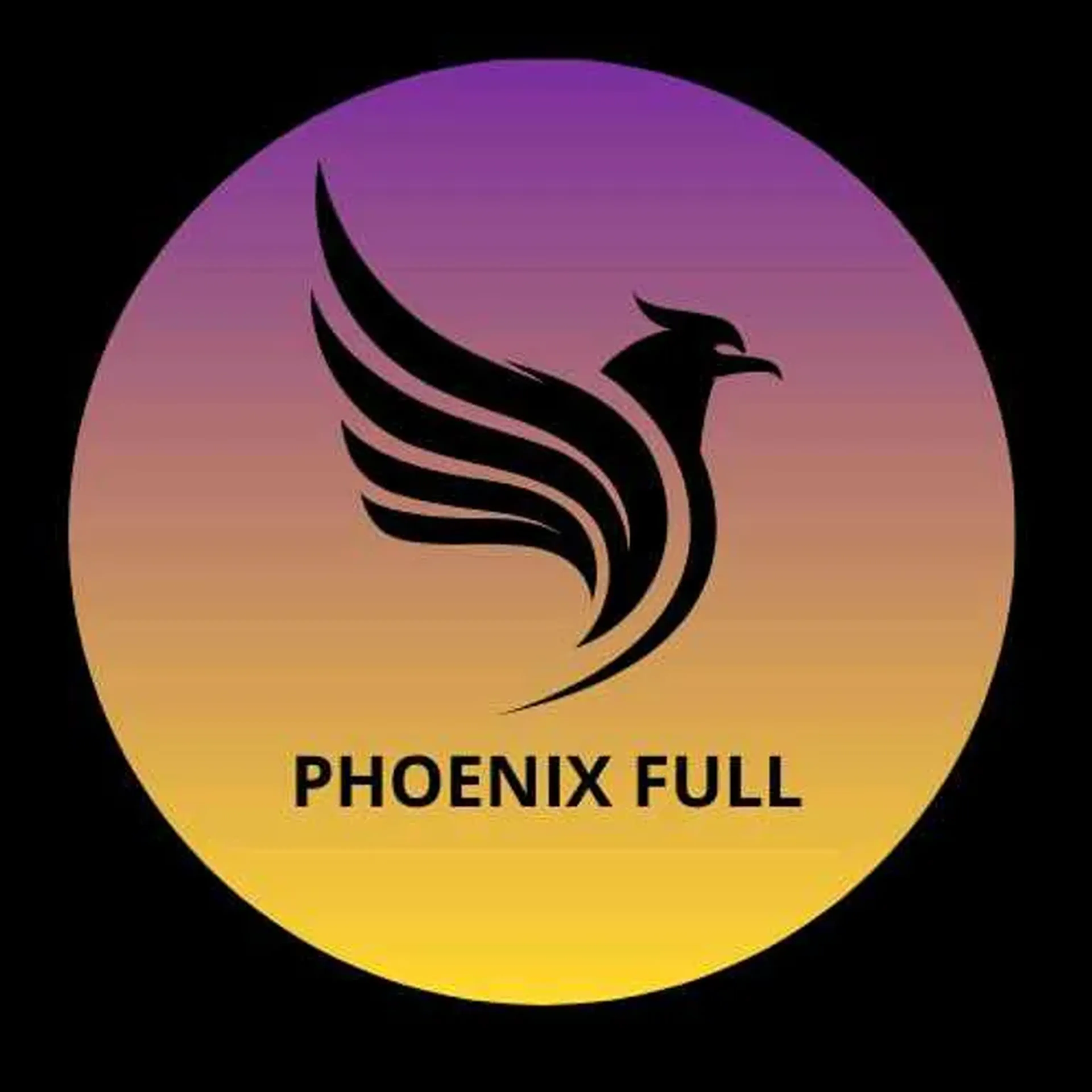 carteira Phoenix Full imagem