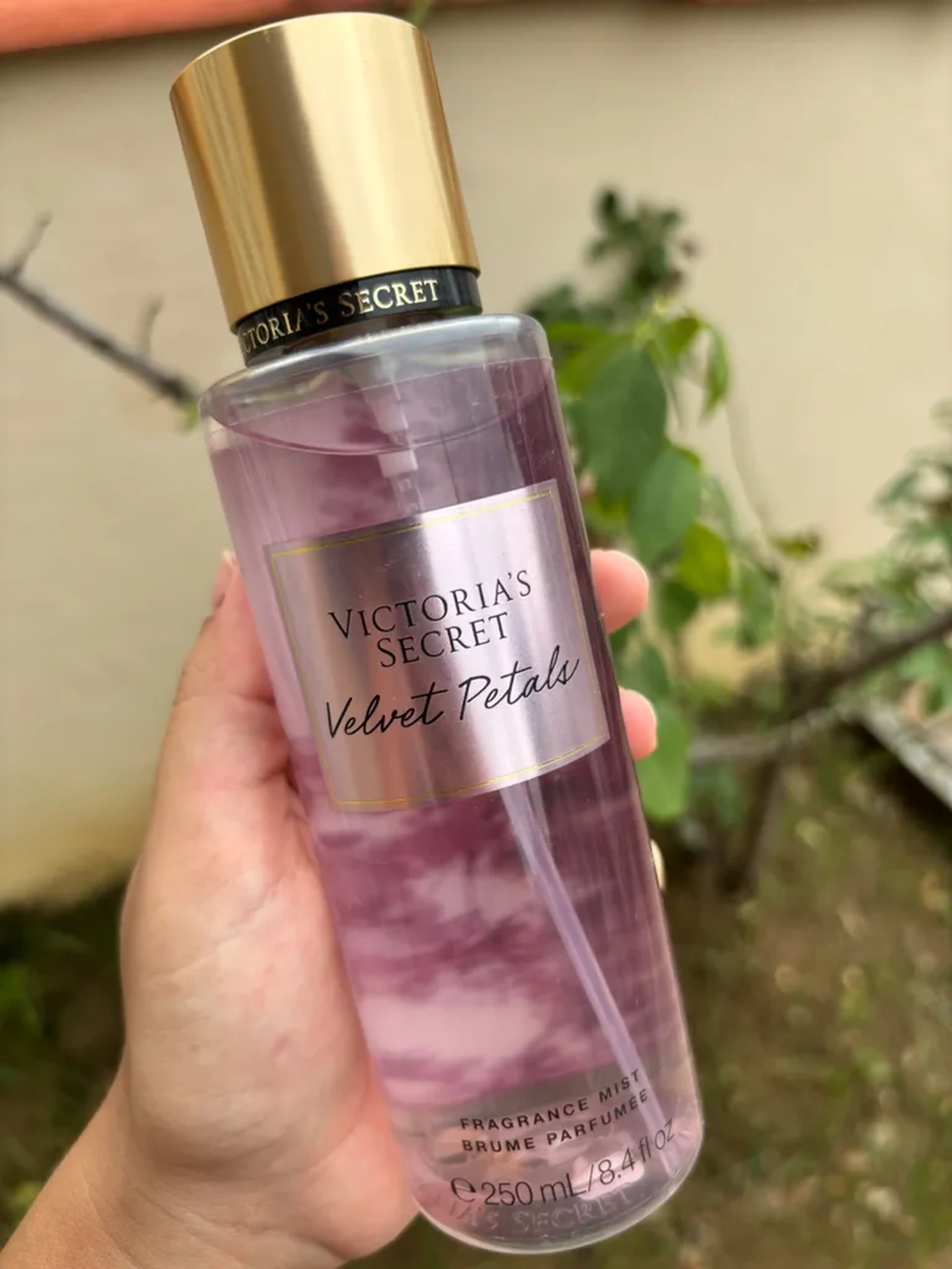 Body Splash Victoria’s Secrets Velvet Petals imagem