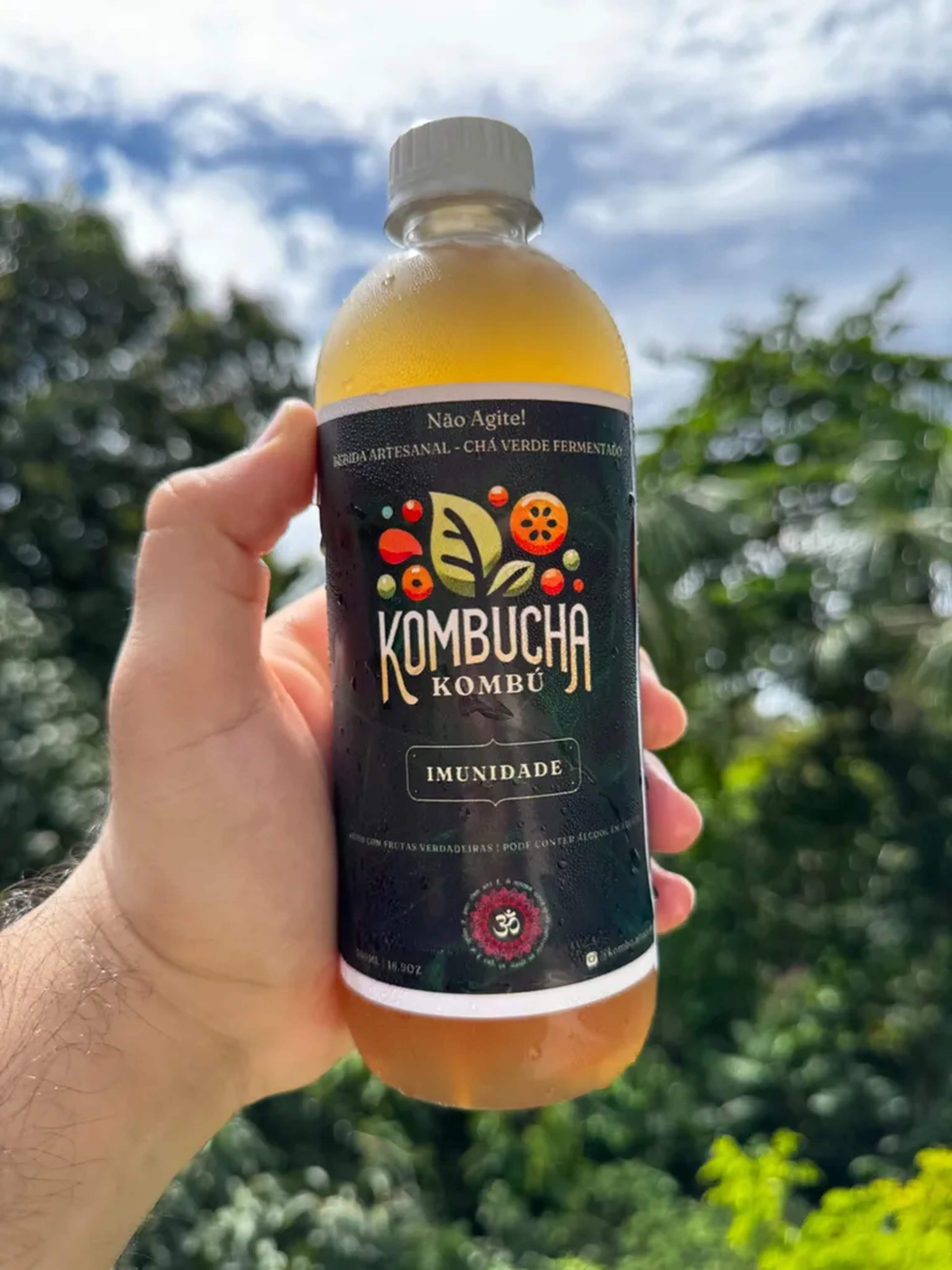 Kombucha de Imunidade (Limão, Gengibre e Cúrcuma) 500ml imagem