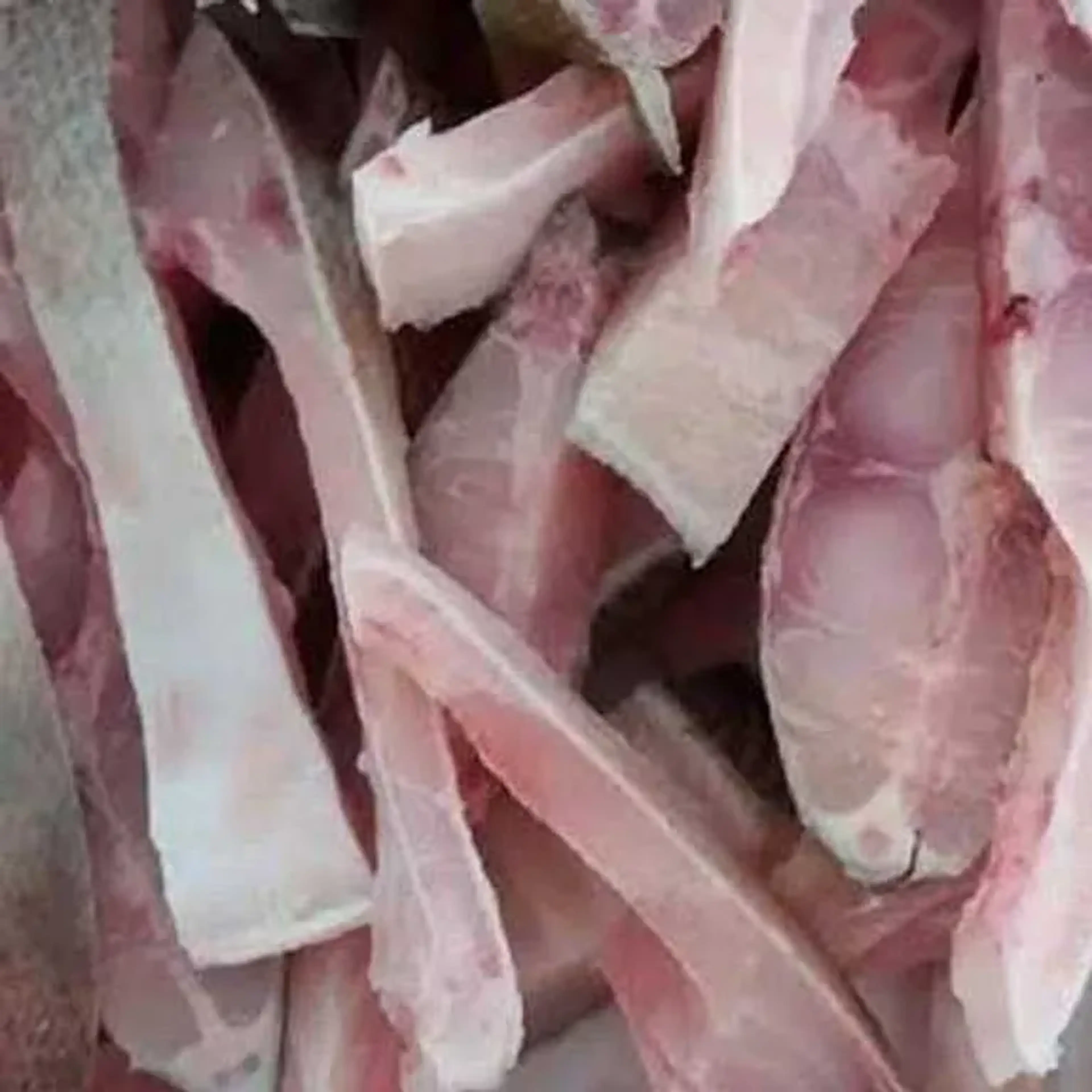 COSTELINHA DE PACU imagem