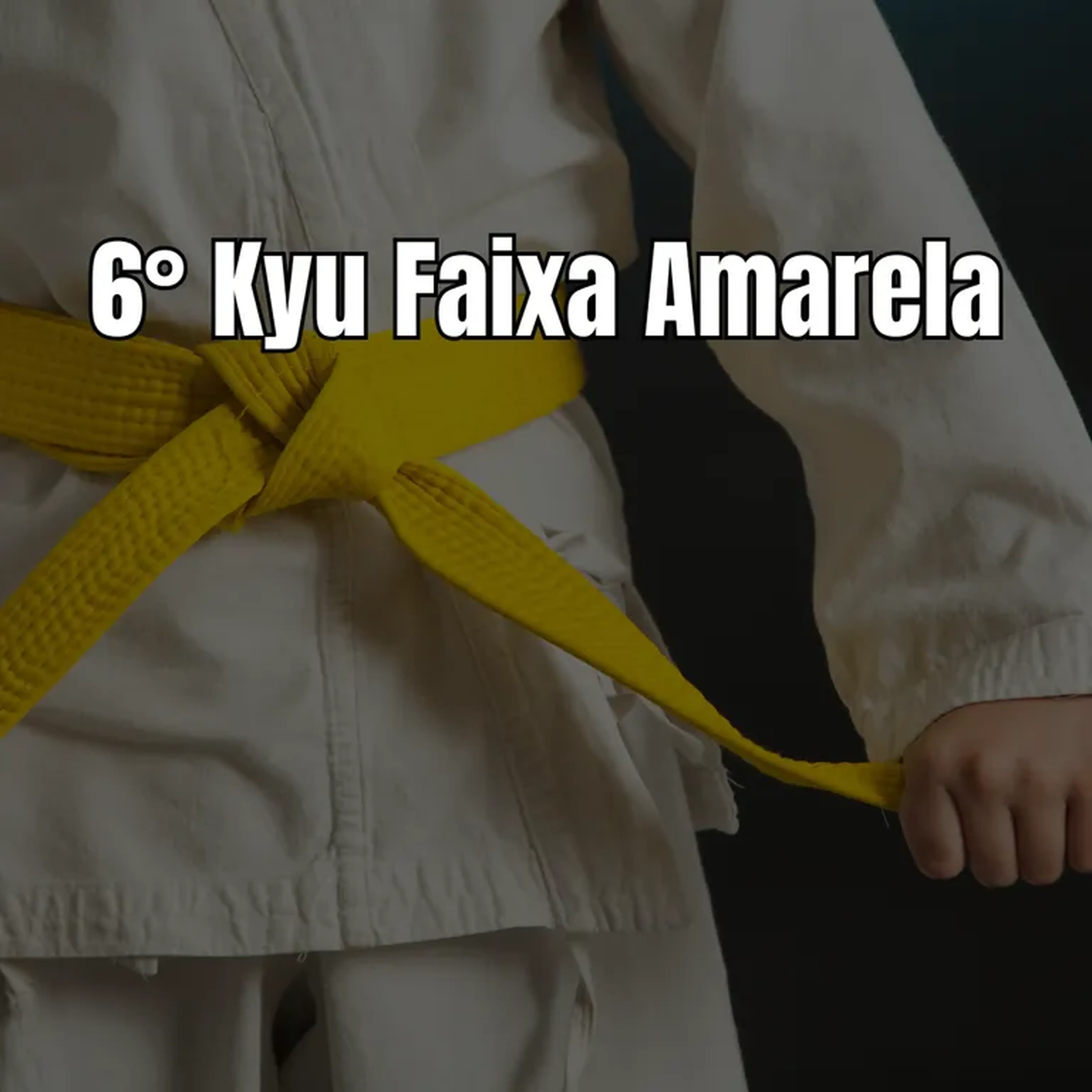 TAXA GRADUAÇÃO 6° KYU imagem