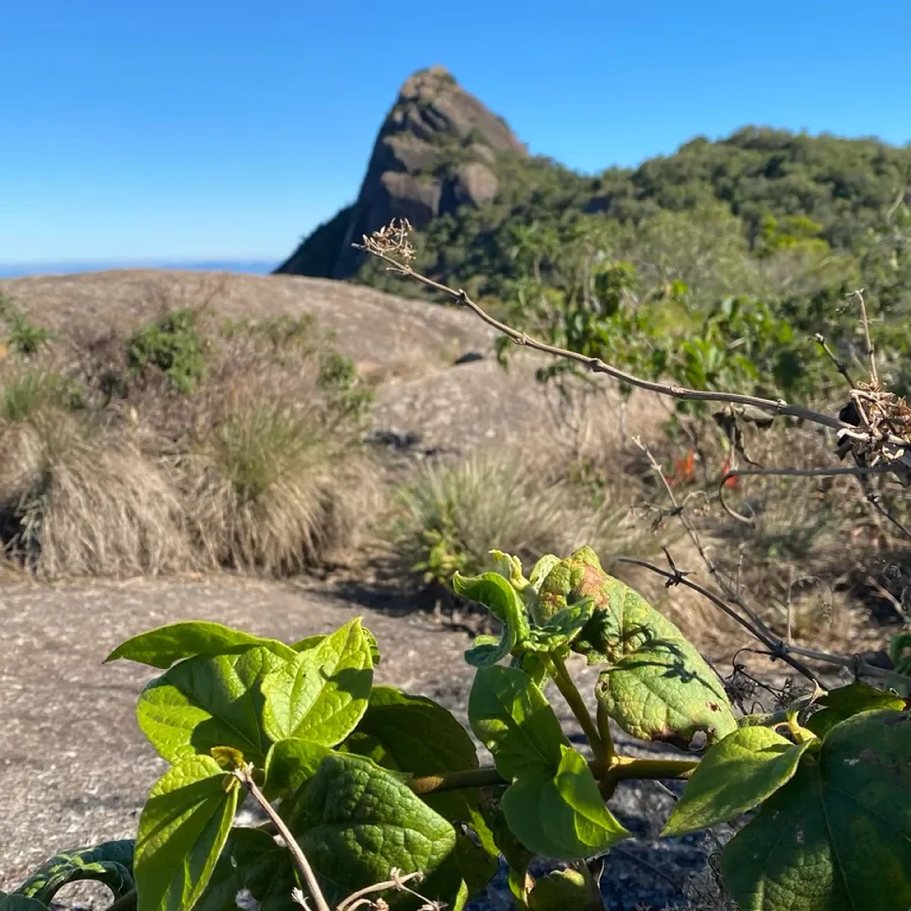 (29-06) Trilha do Pico do Lopo - Diurna imagem