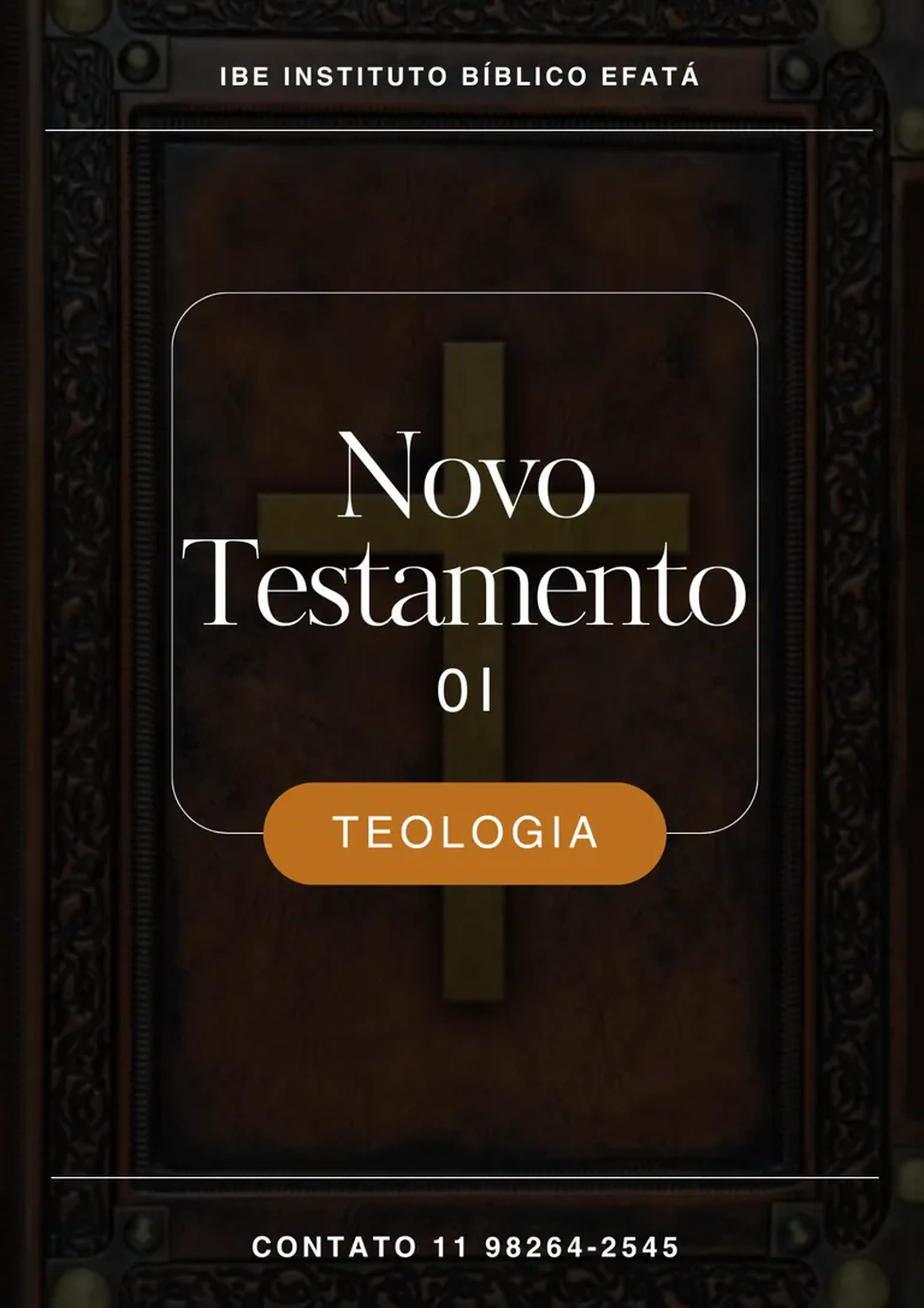 Teologia do Novo Testamento 0I (apostila) imagem