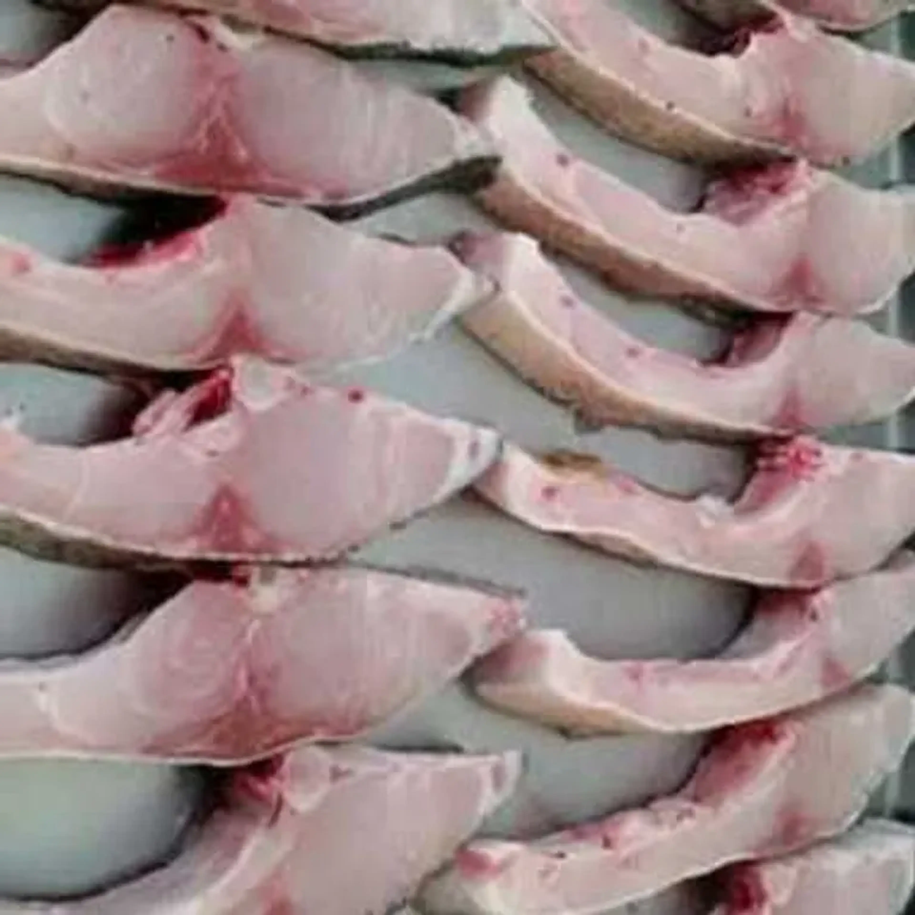 COSTELINHA PACU DESOSSADA!!! imagem