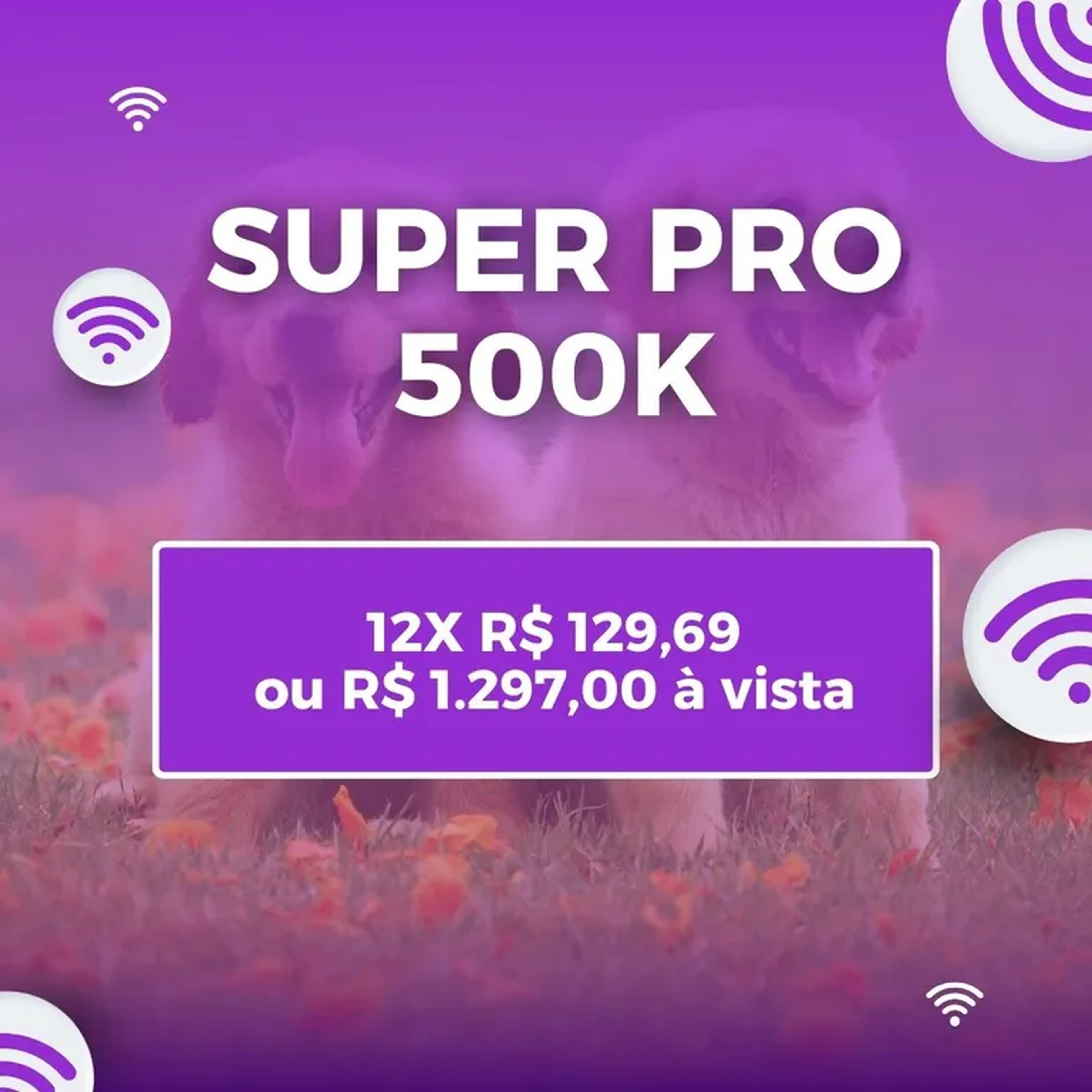 Super Pro 500k imagem