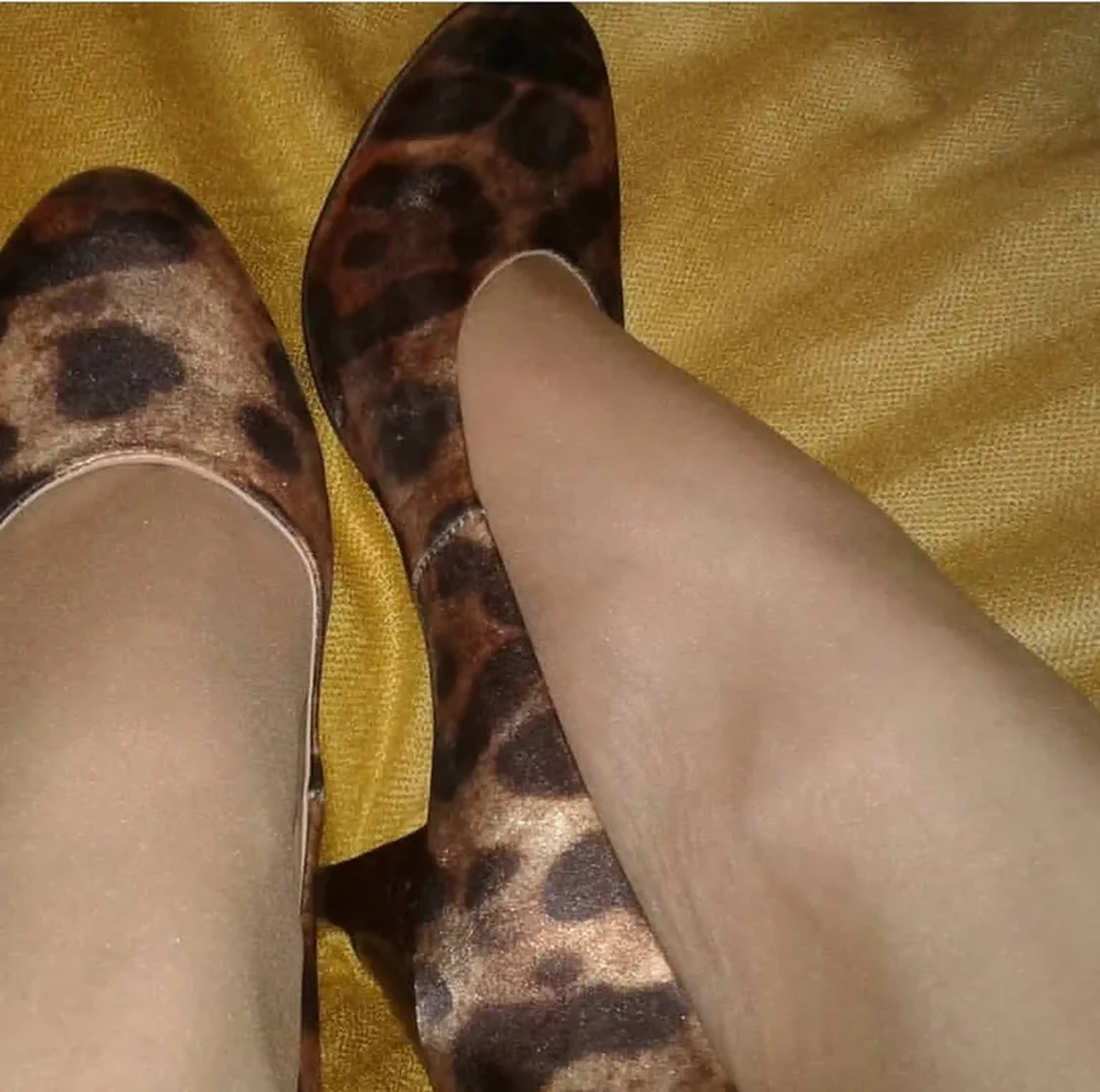 Sapato animal print scarpin imagem