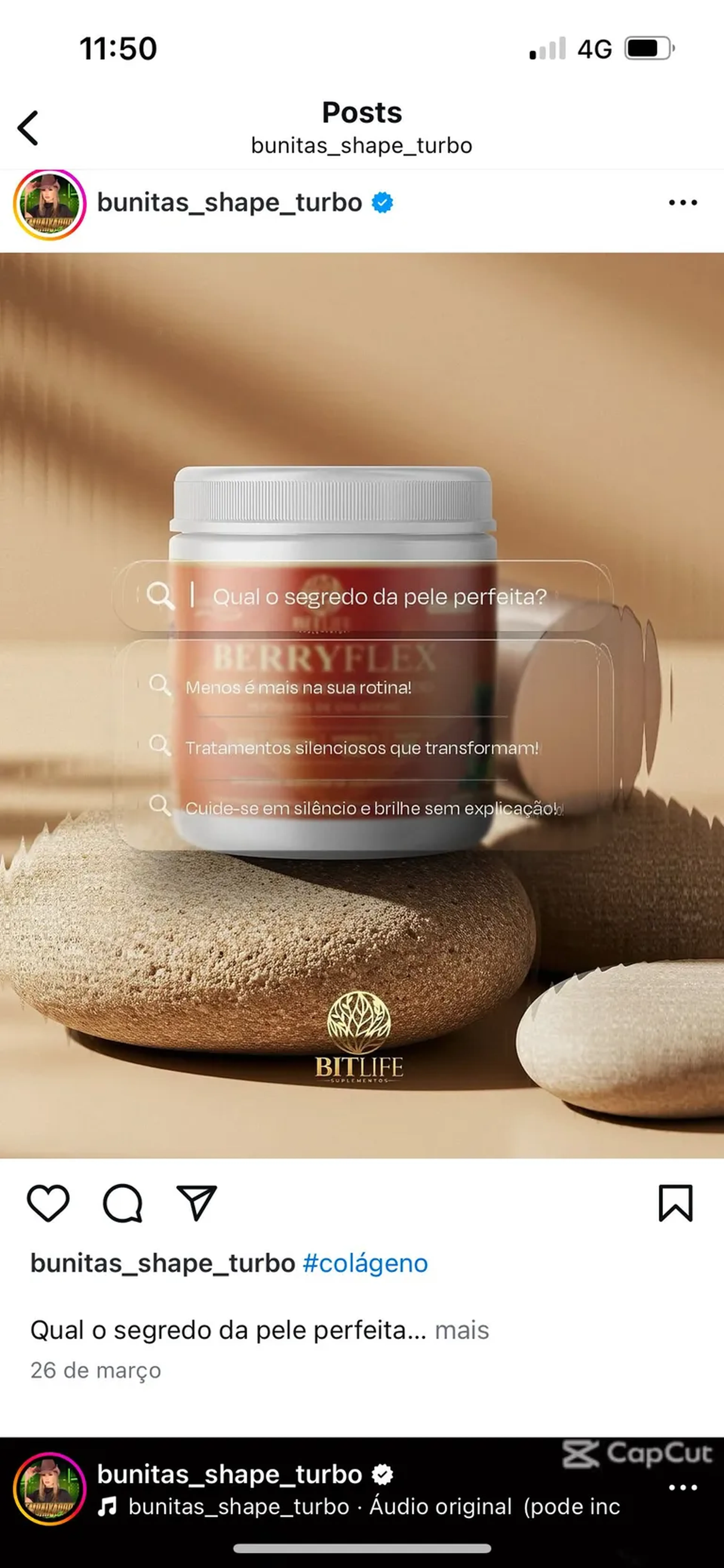 BerryFlex imagem