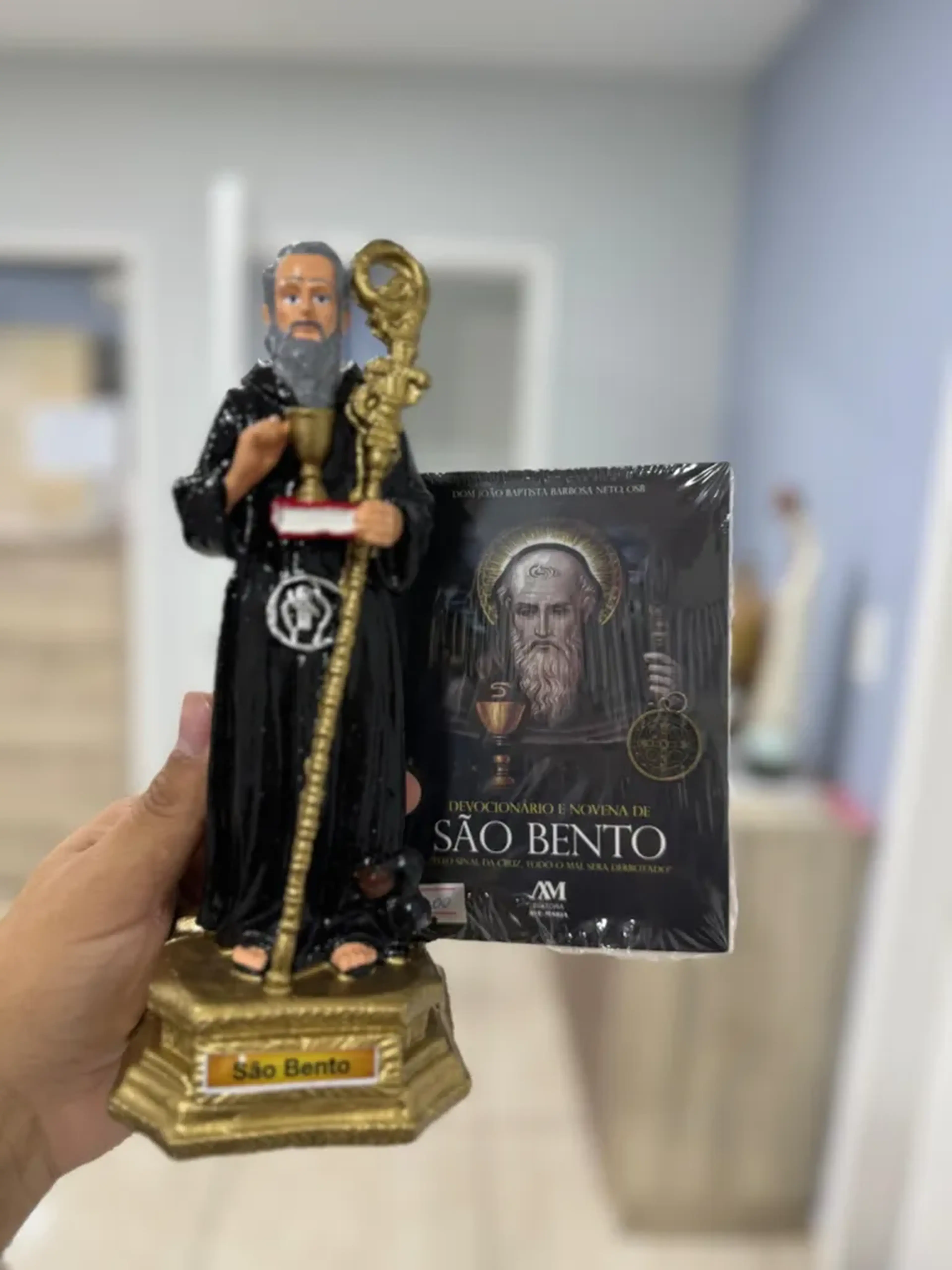 KIT IMAGEM + LIVRO COM MEDALHA imagem