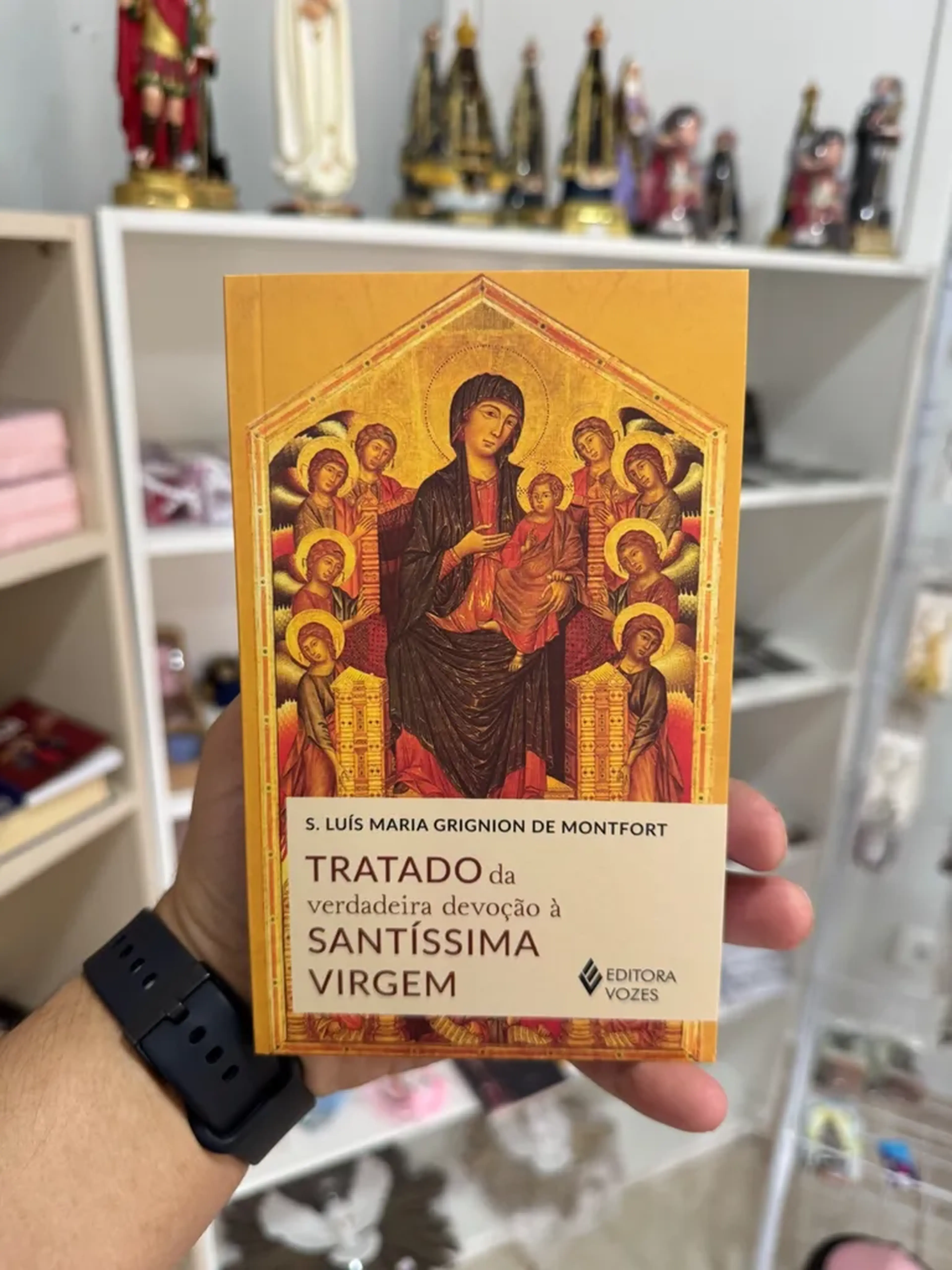LIVRO TRATADO DA VERDADEIRA DEVOÇÃO imagem