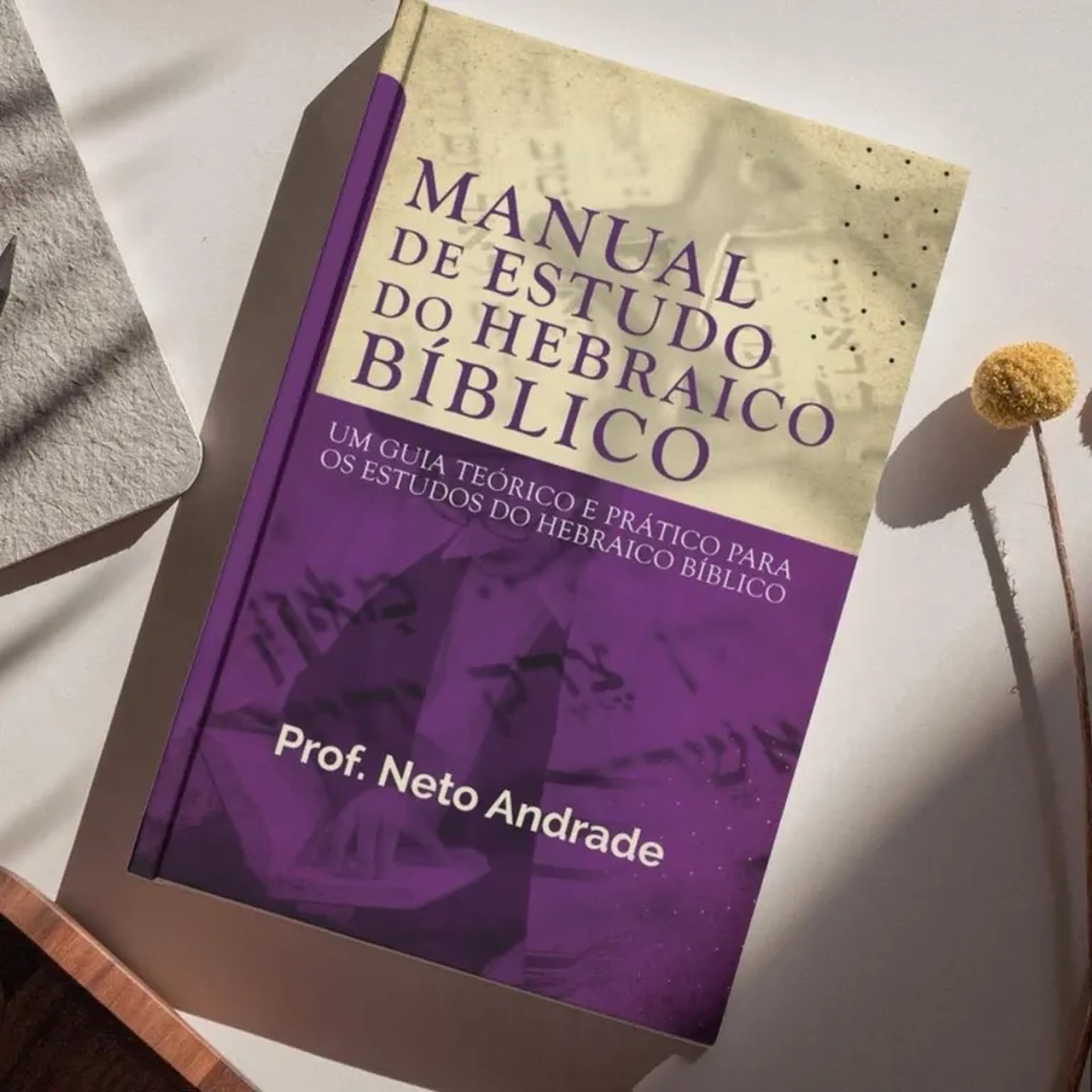 Manual de Estudo do Hebraico Bíblico imagem