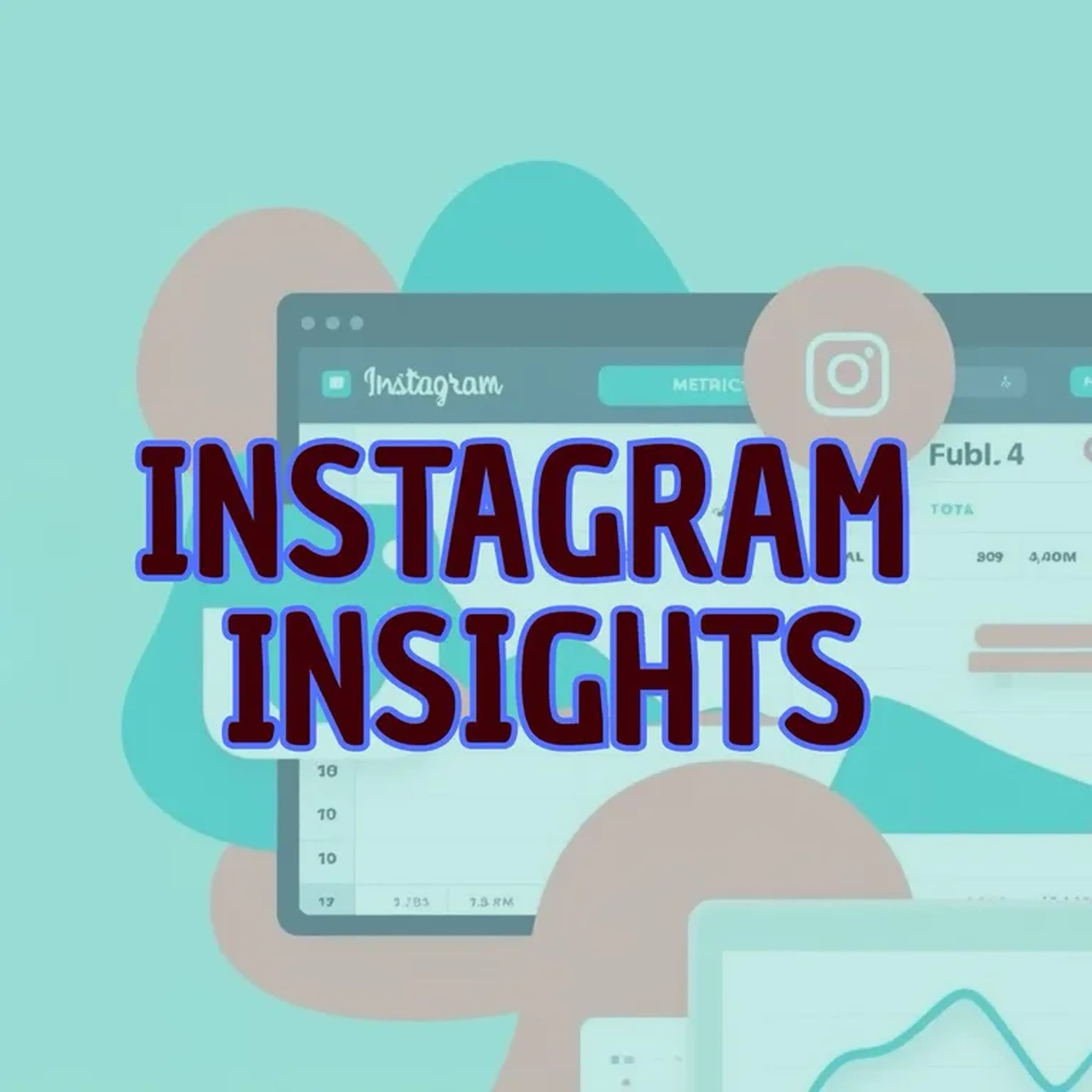 Instagram Insights imagem