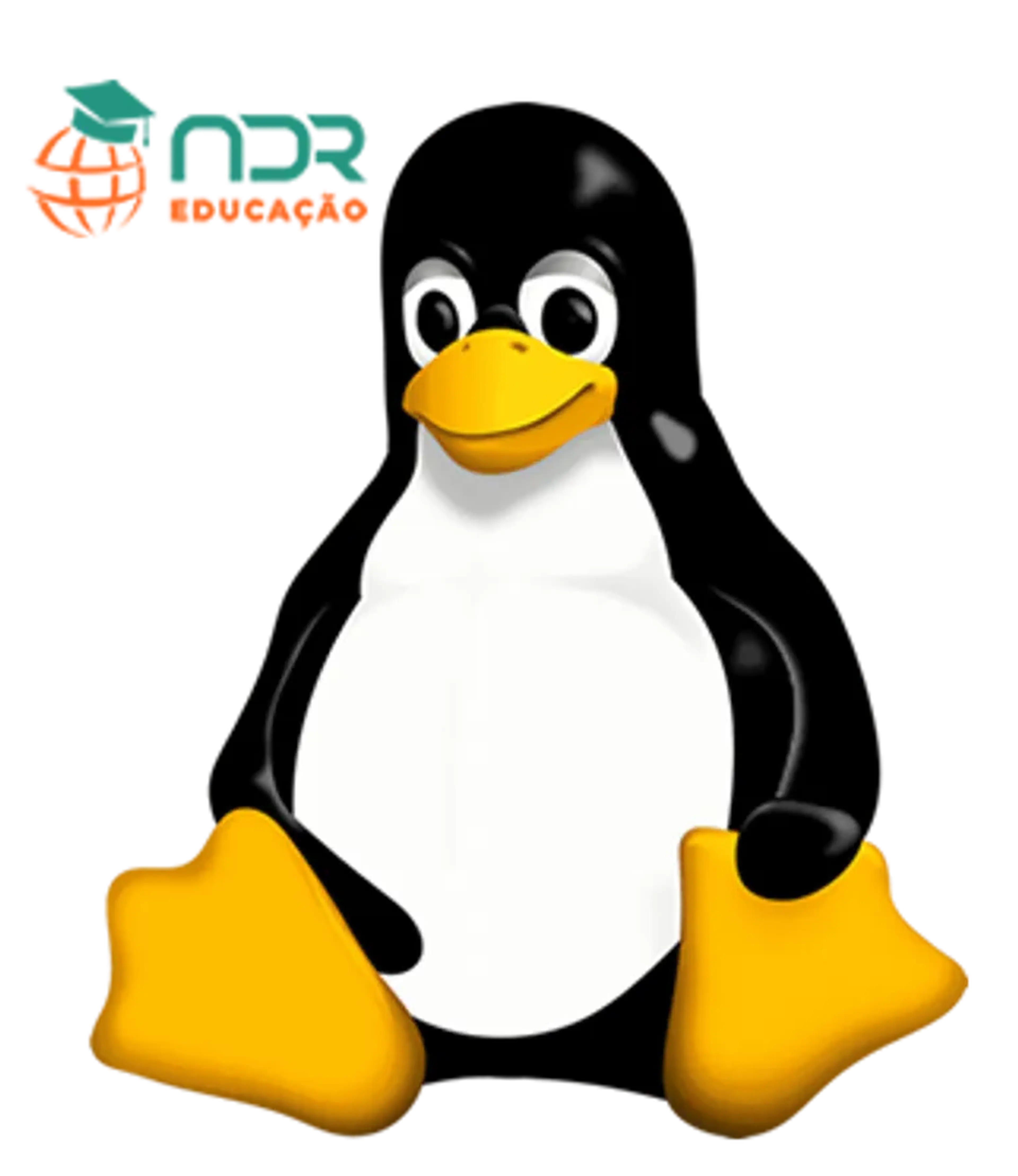 NDG Linux I imagem