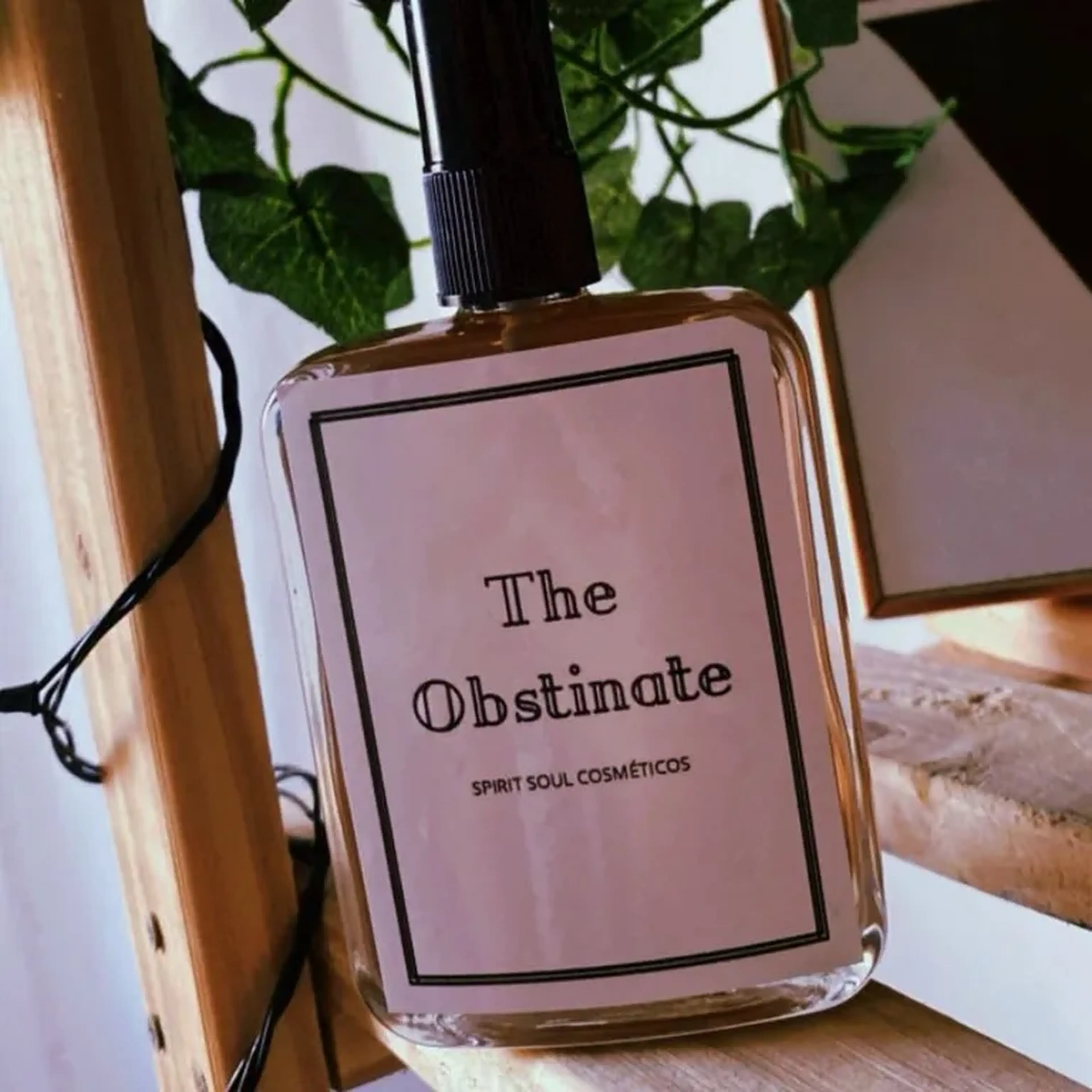 the obstinate masculino imagem