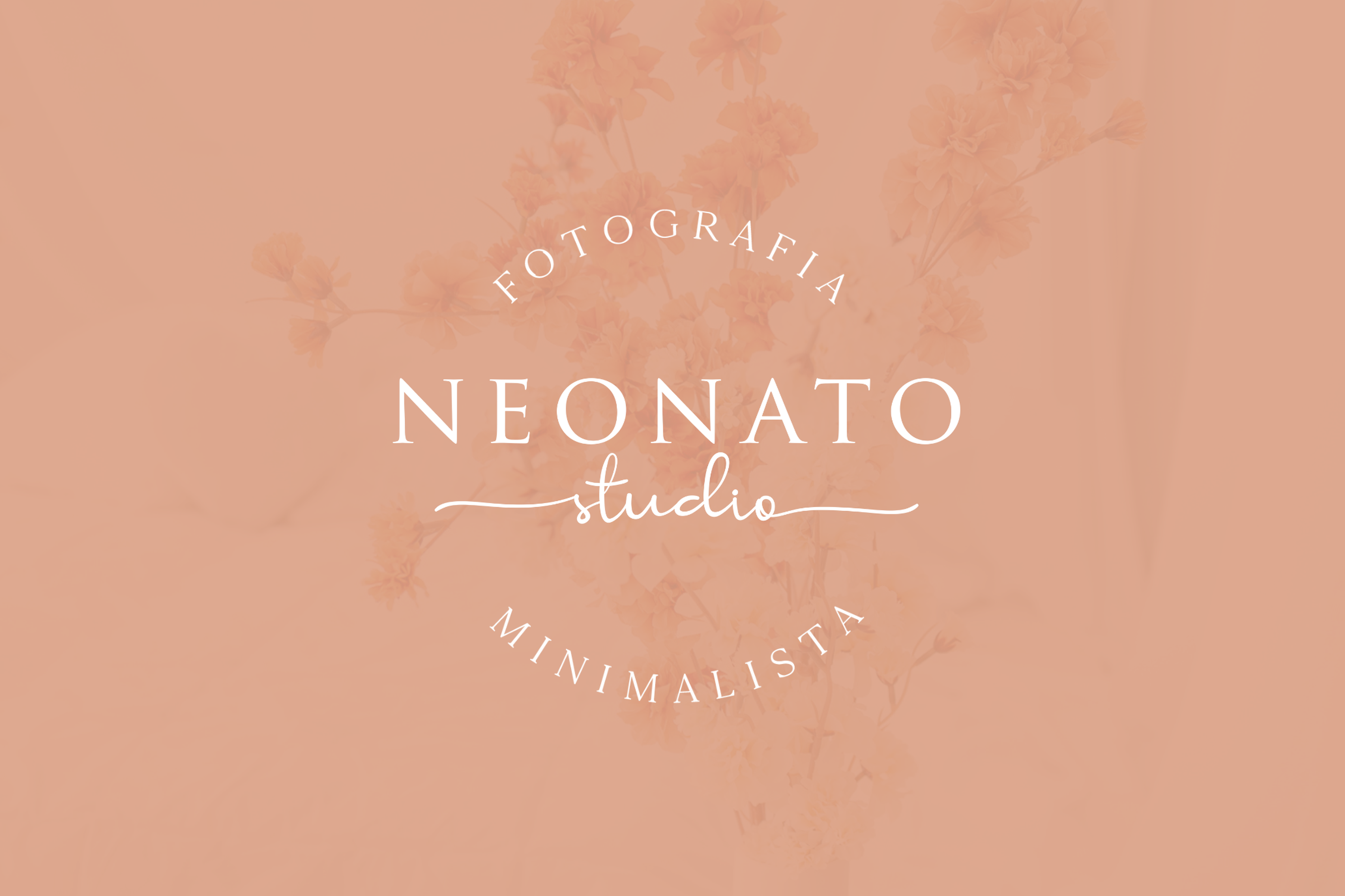 EDIVALDA SILVA BATISTA imagem