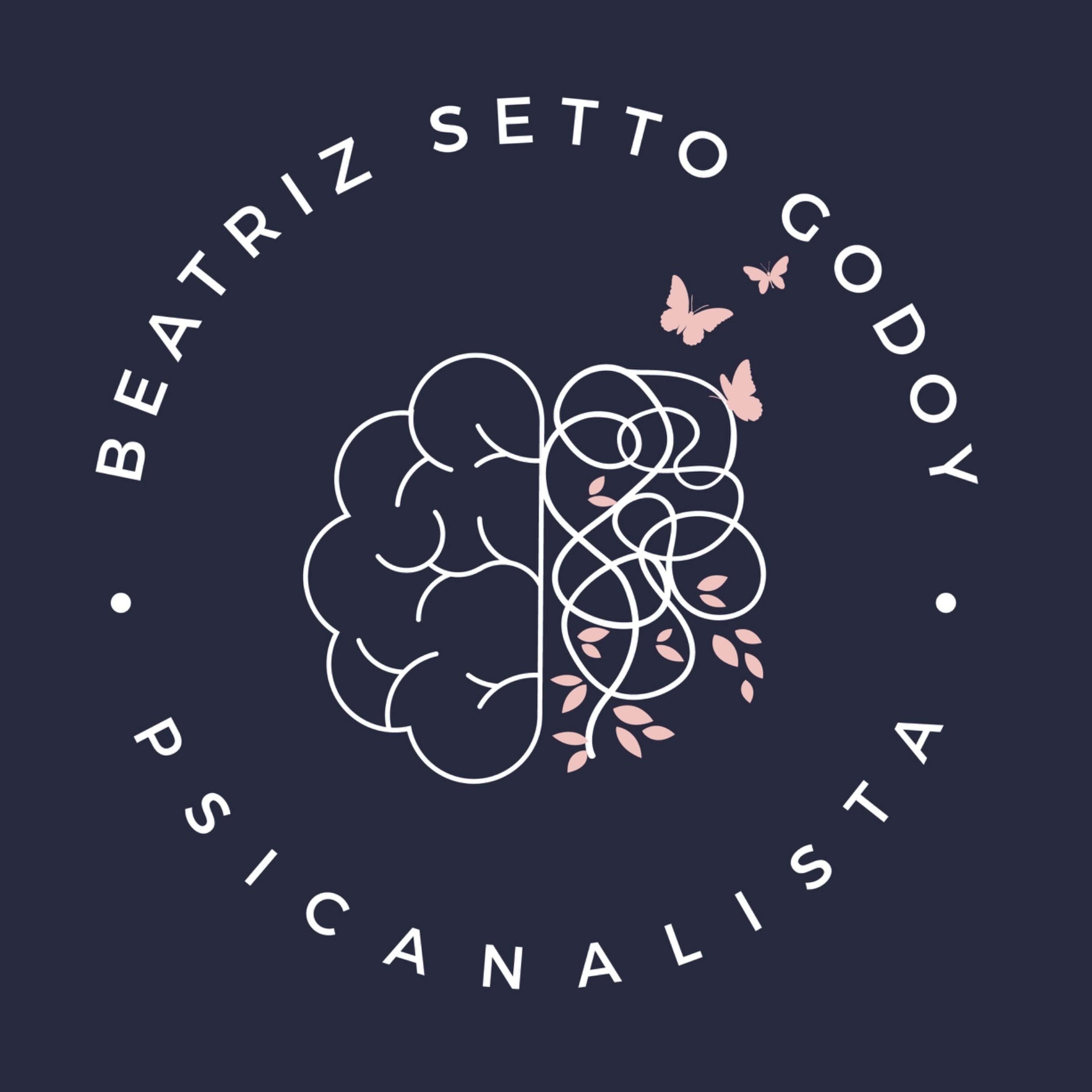 MARIA BEATRIZ SETTO DE GODOY imagem