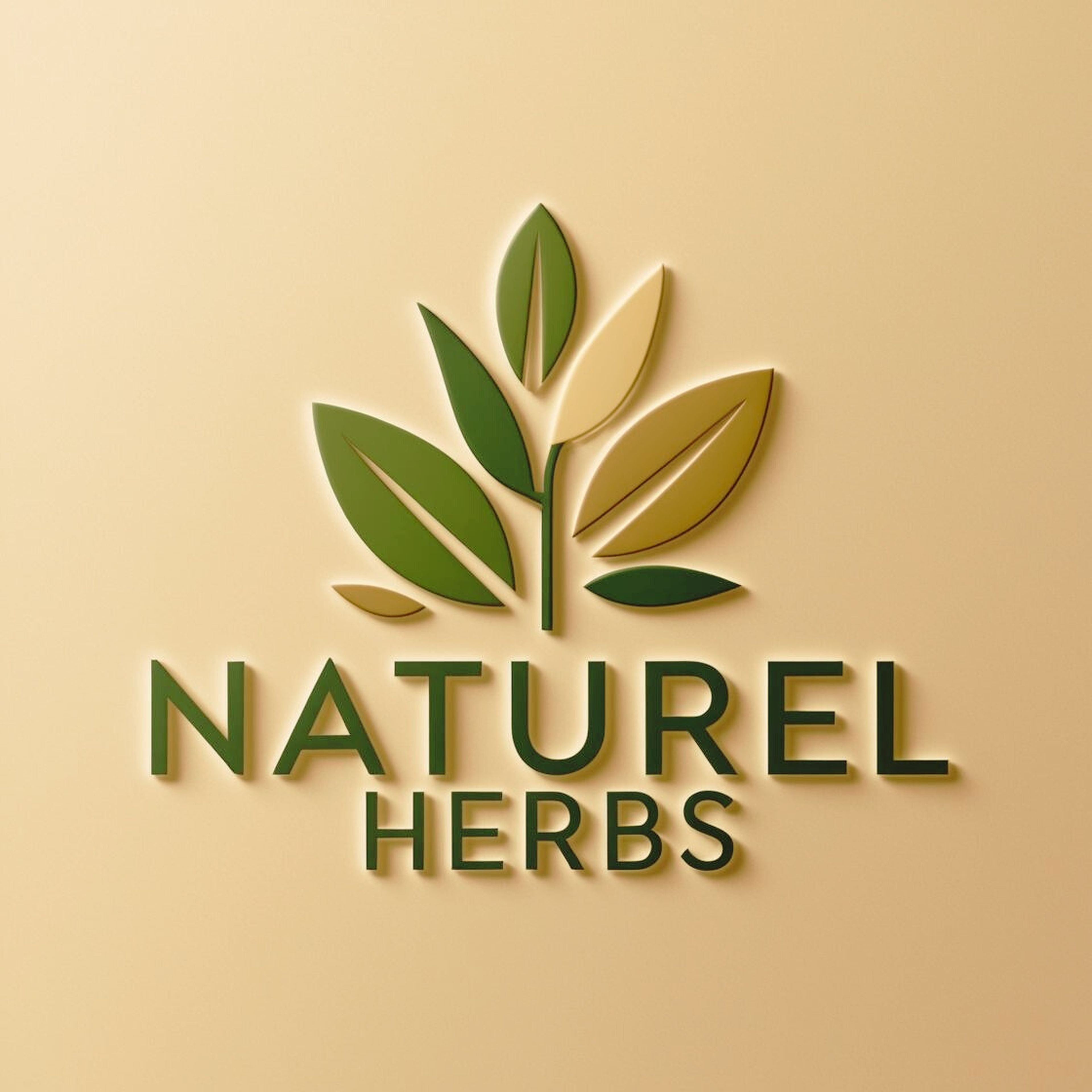 ADRIANO ALVES DA SILVA imagem