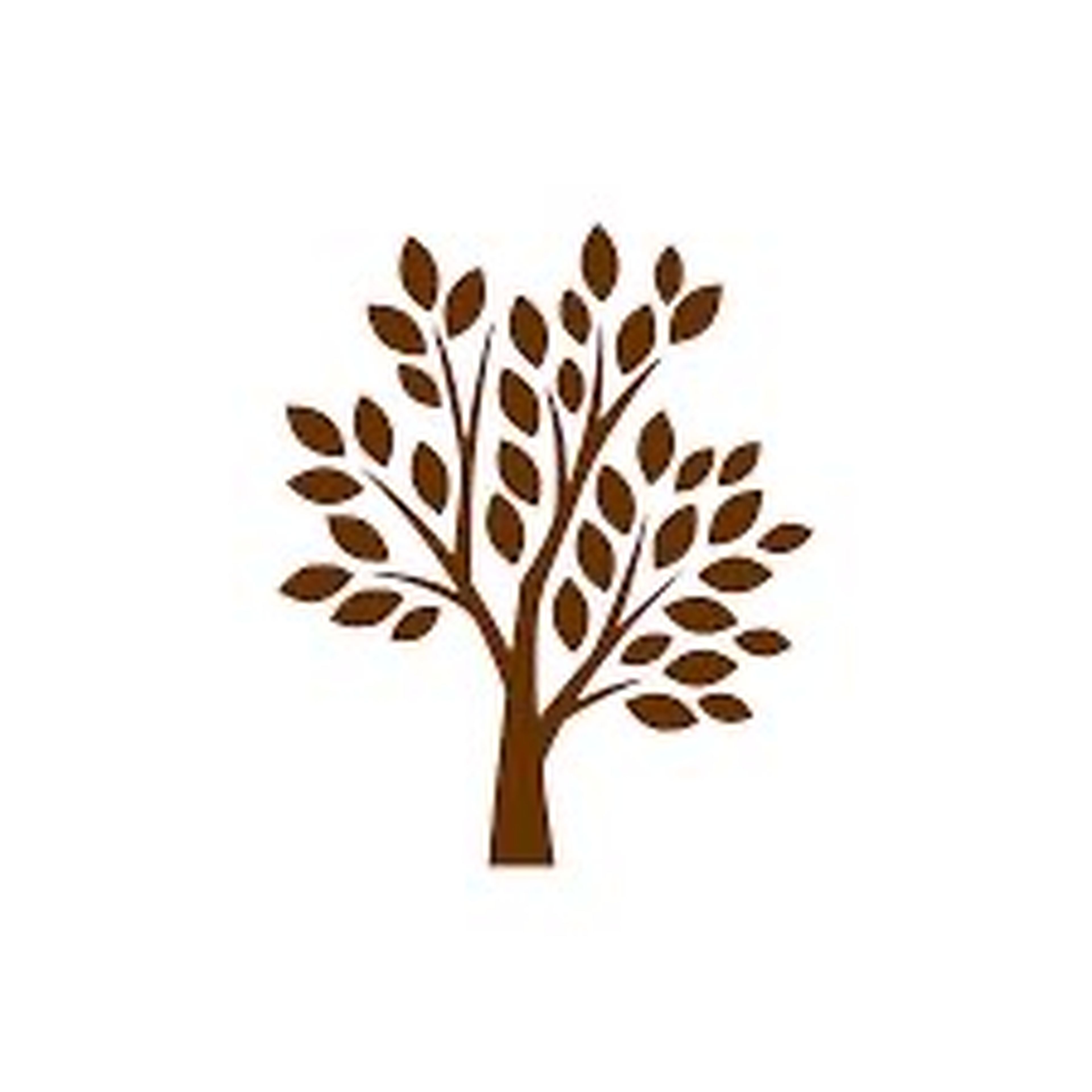 ALEX CORREIA MOTA imagem