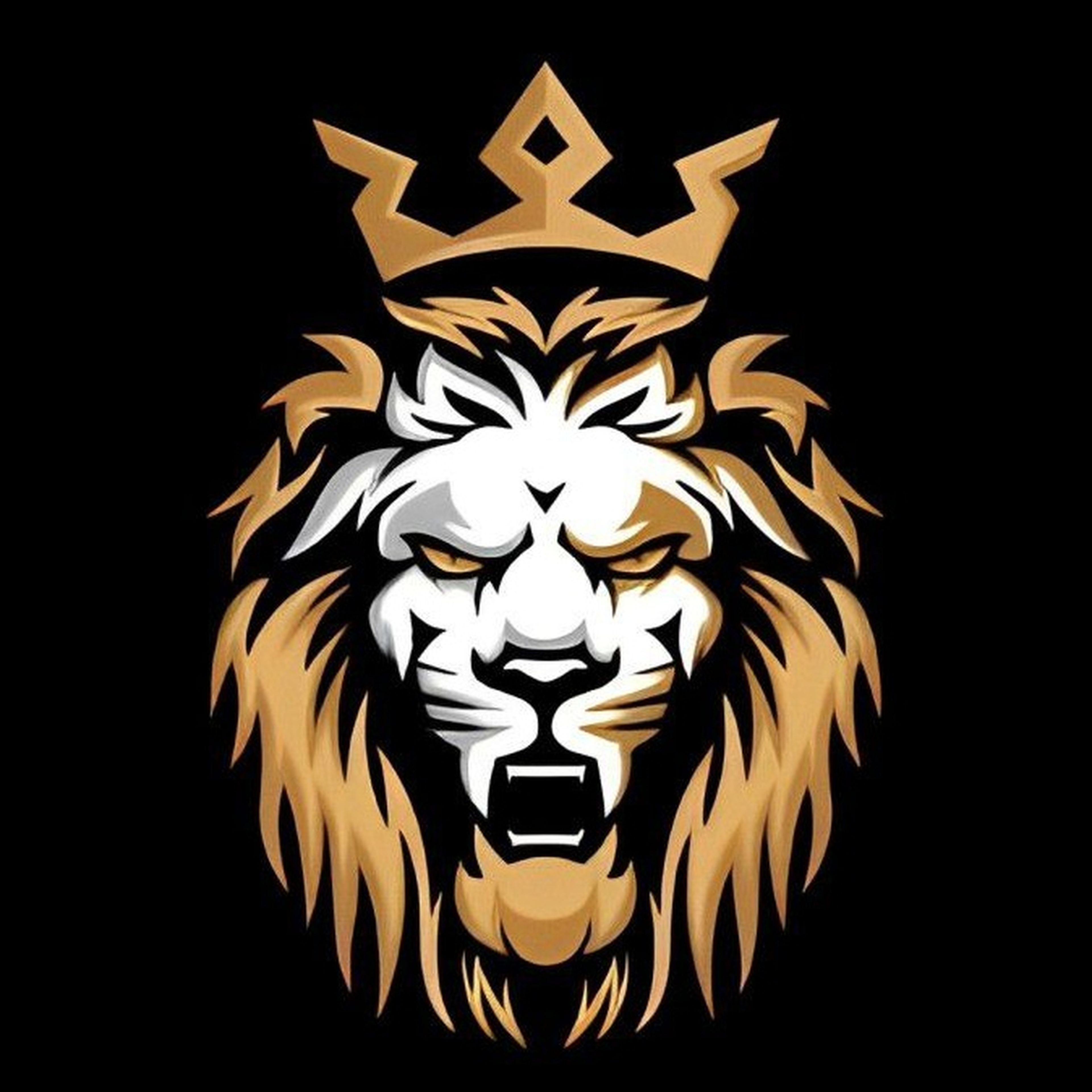 RAFAEL WASHINGTON DE OLIVEIRA SANTOS imagem