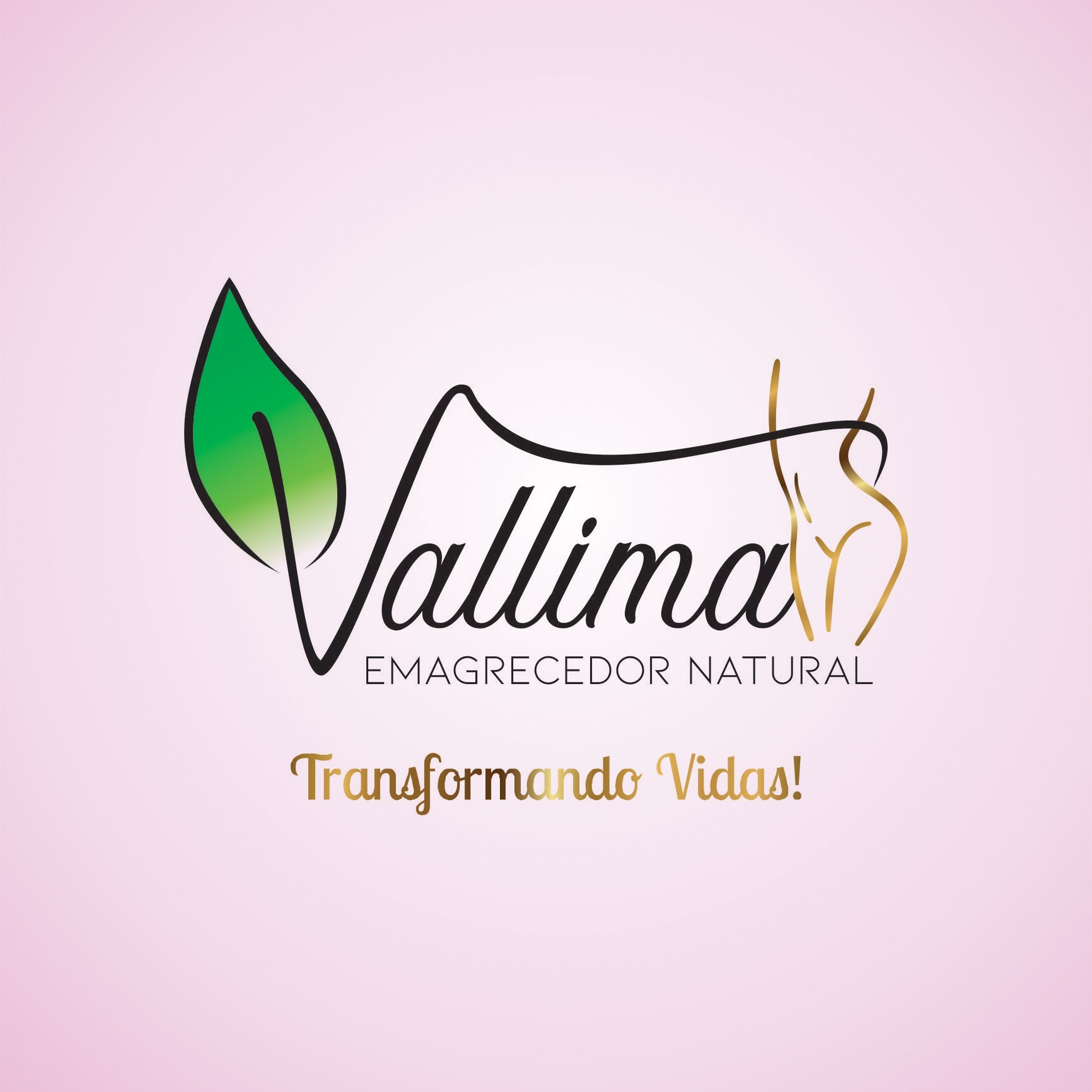 VAL LIMA NATURAIS imagem